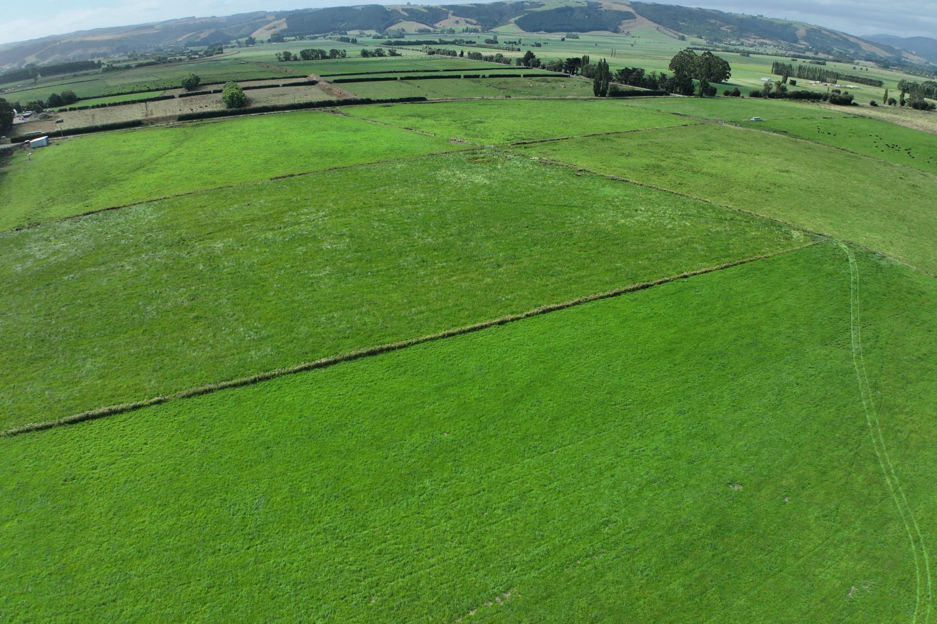 305 Riverside Road, Taieri Plain