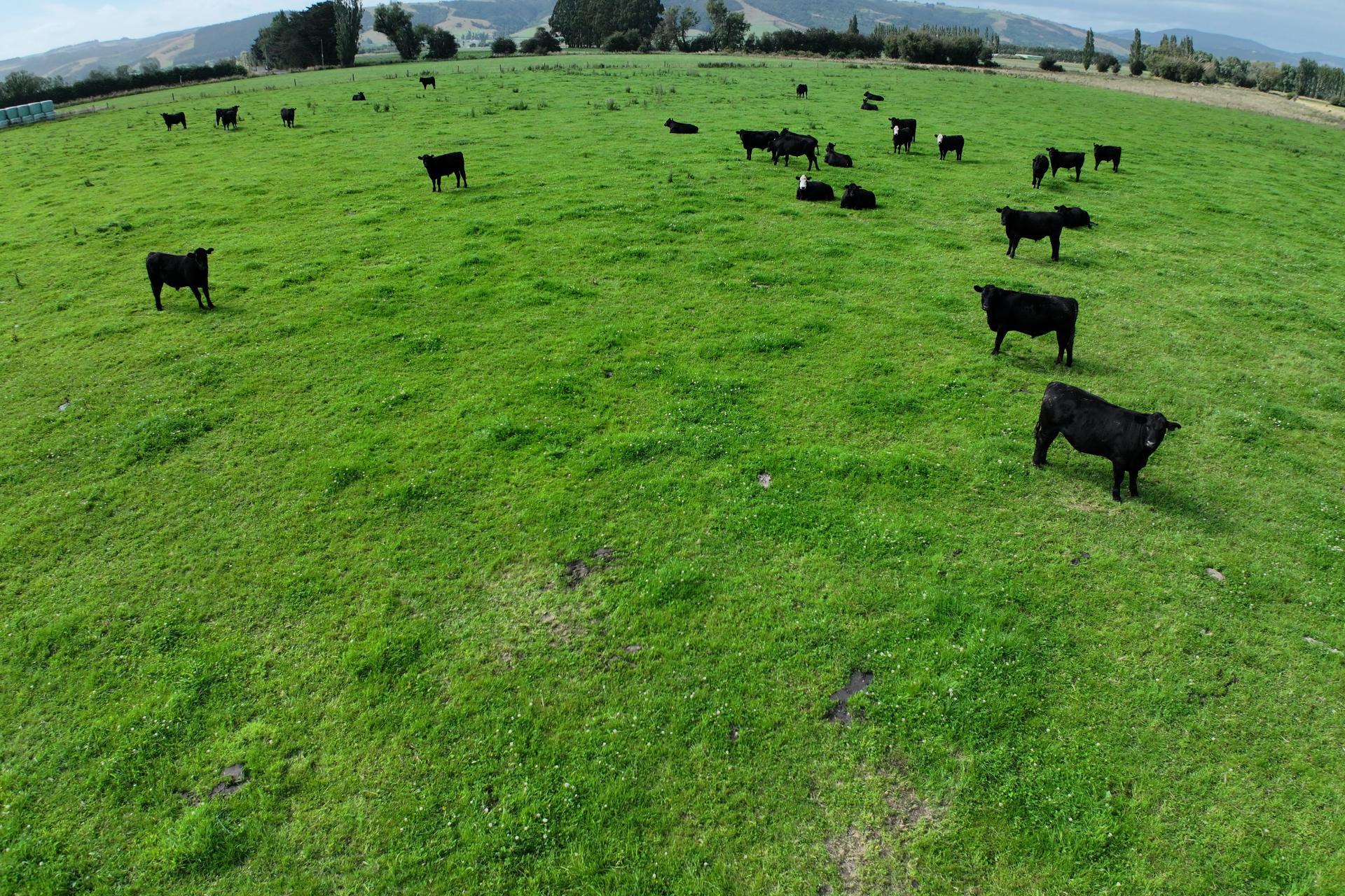 305 Riverside Road, Taieri Plain