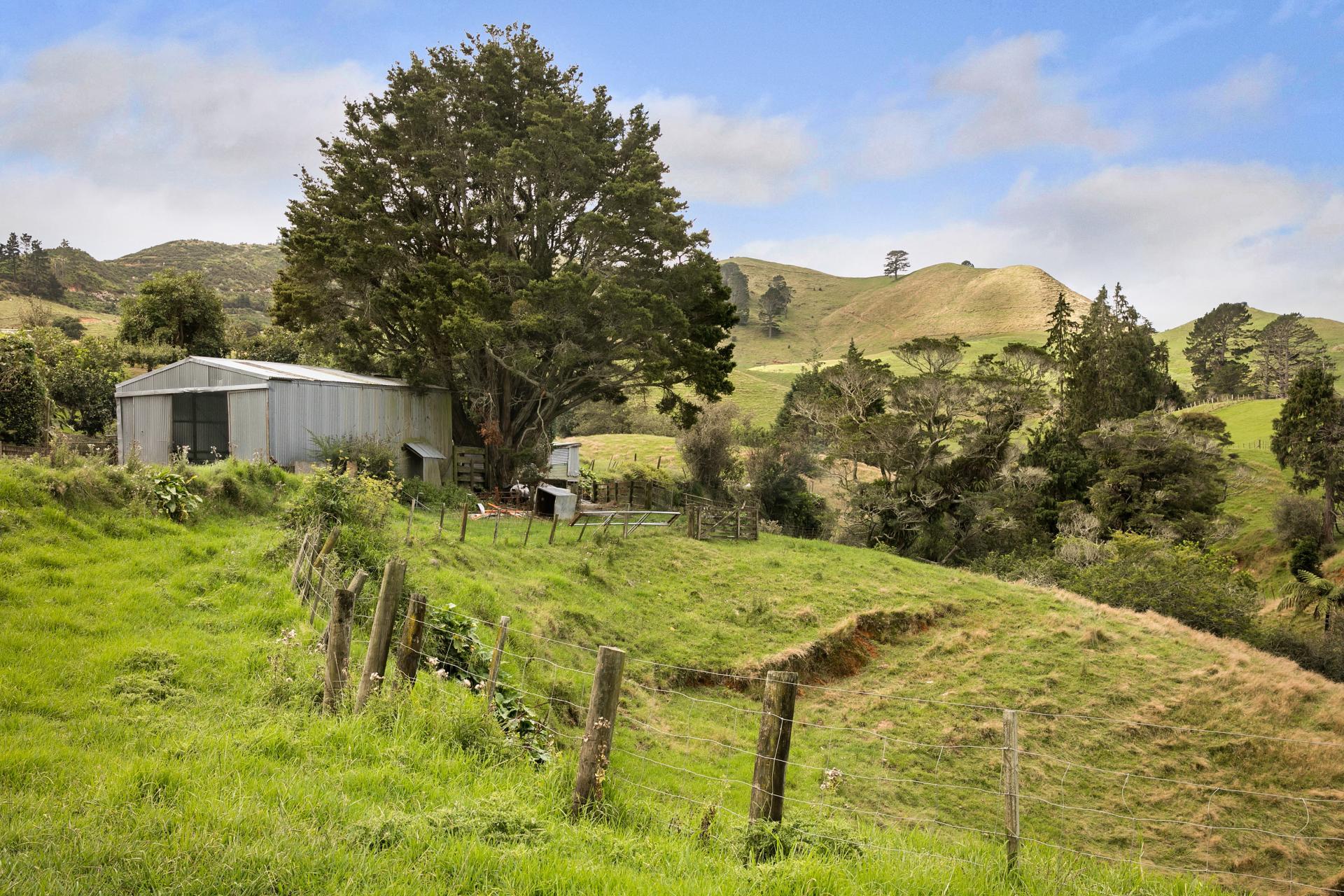 54 Thorn Road, Waihi