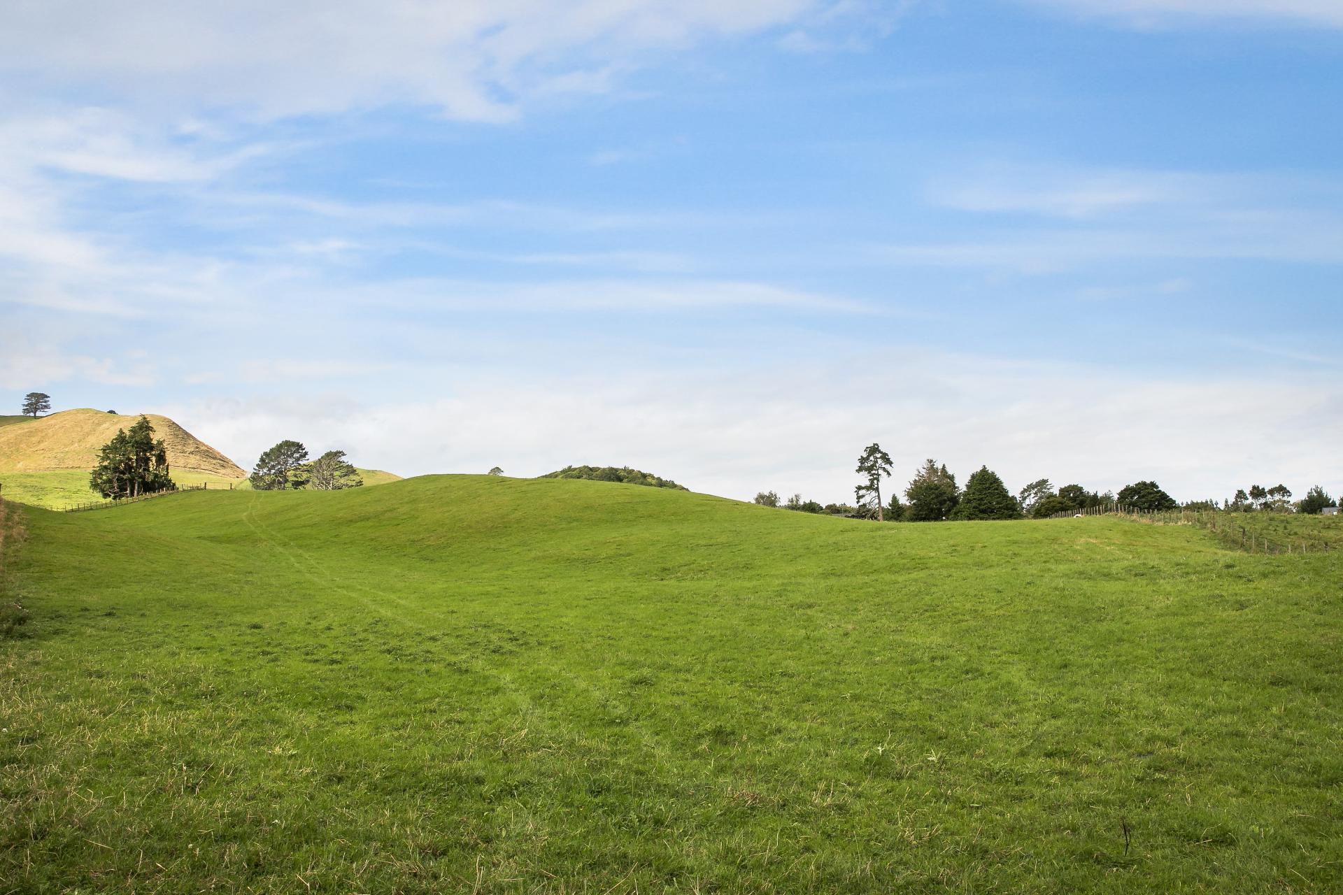 54 Thorn Road, Waihi
