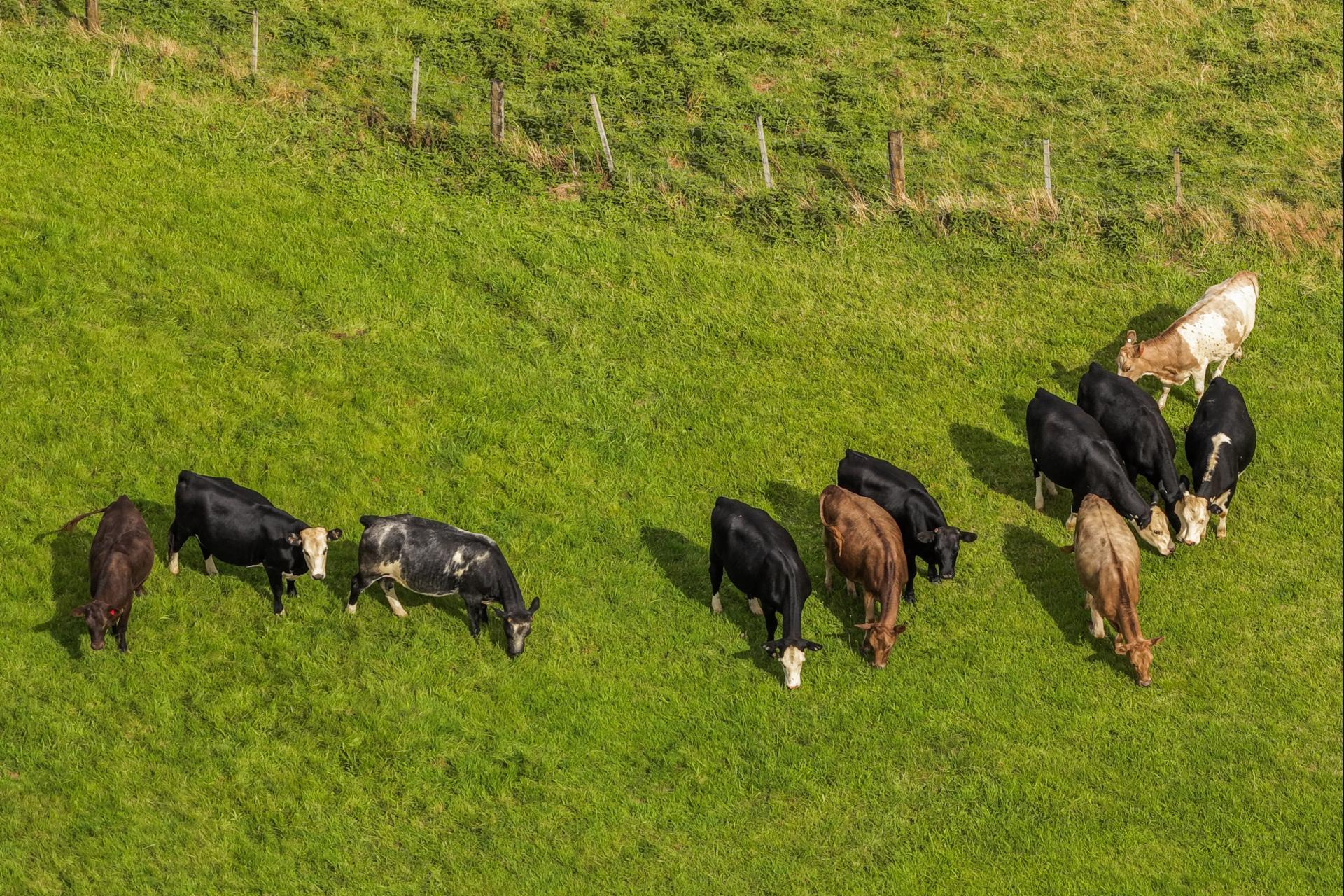 54 Thorn Road, Waihi