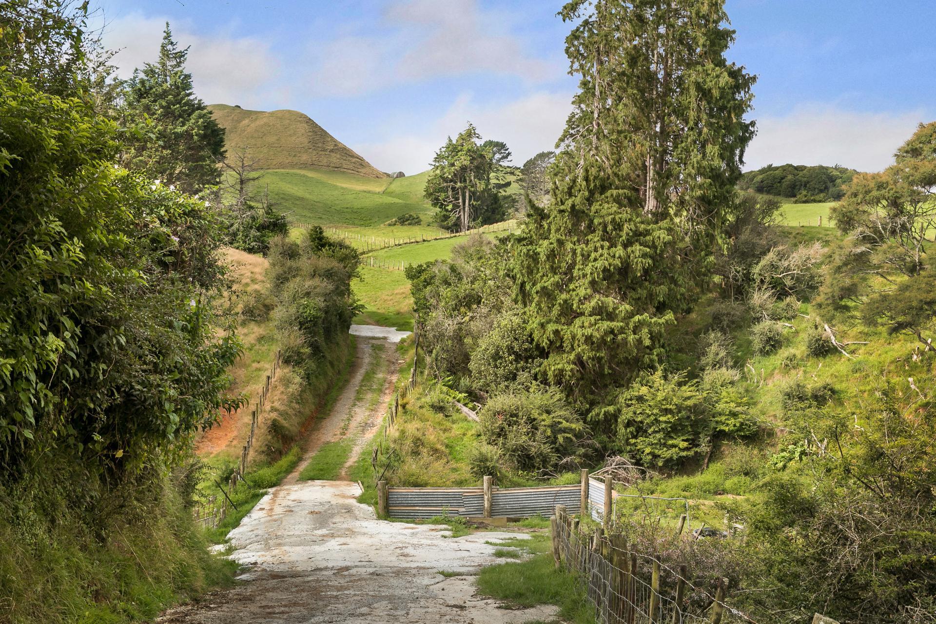 54 Thorn Road, Waihi