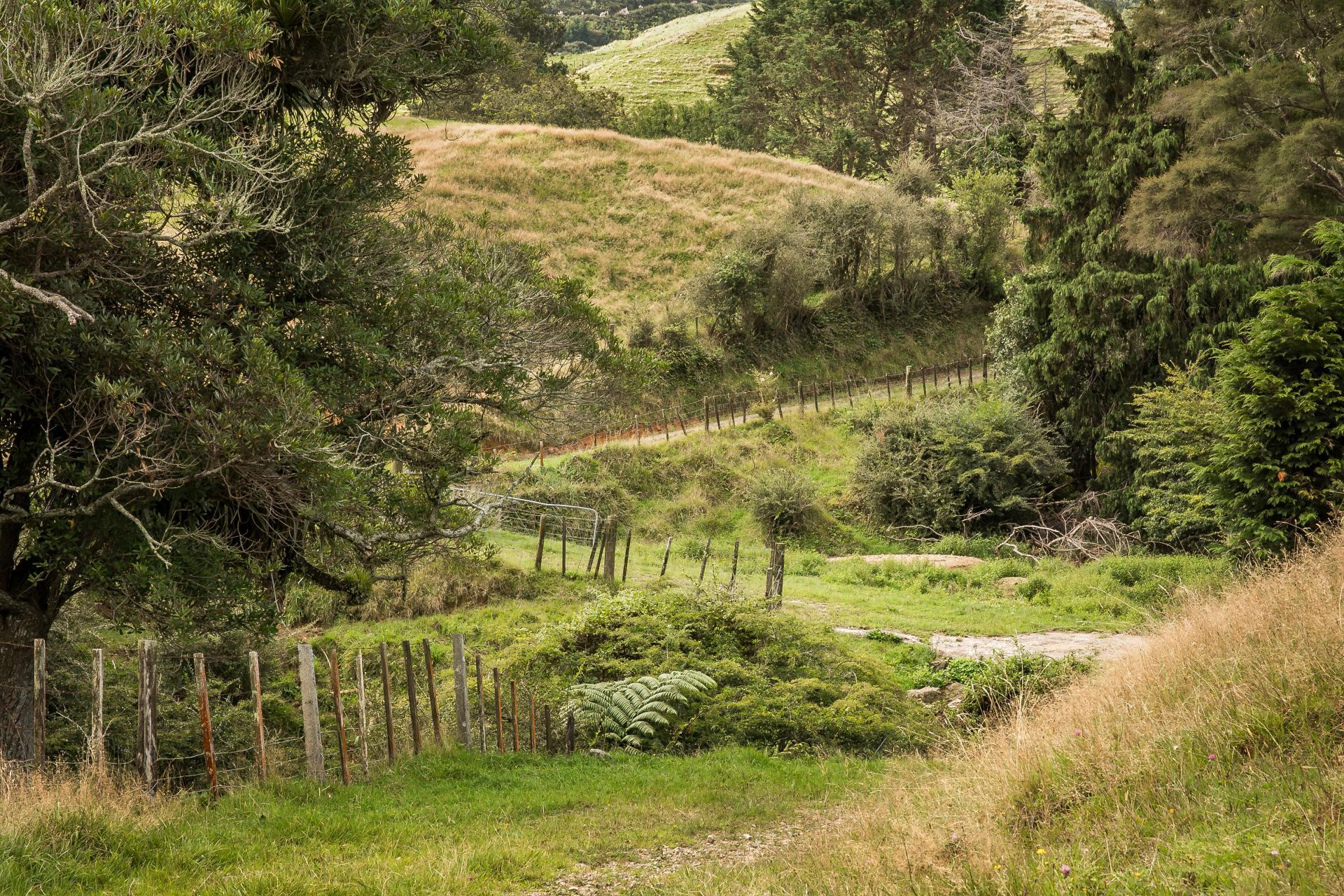 54 Thorn Road, Waihi