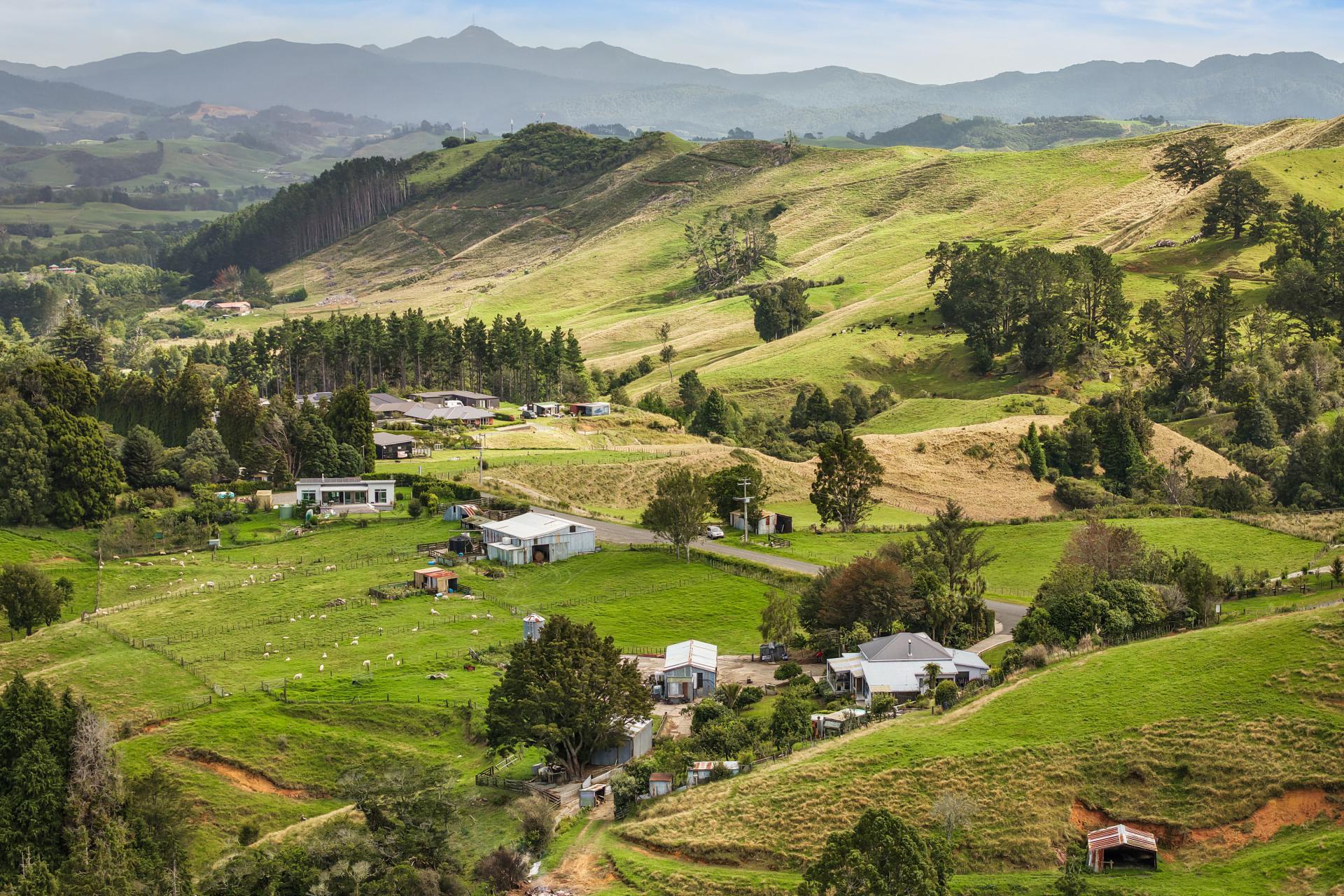 54 Thorn Road, Waihi