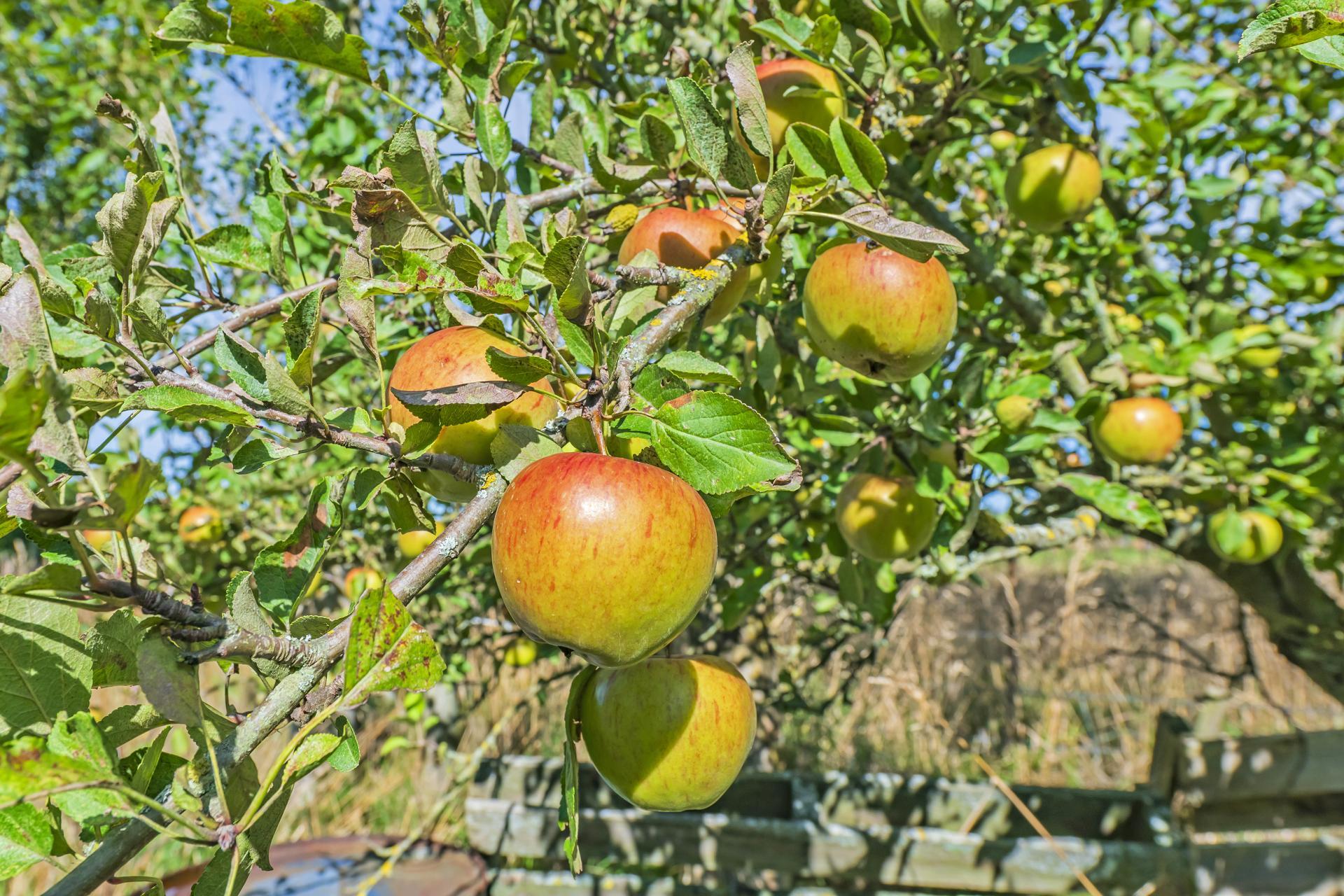 2131 Old West Coast Road, Kirwee