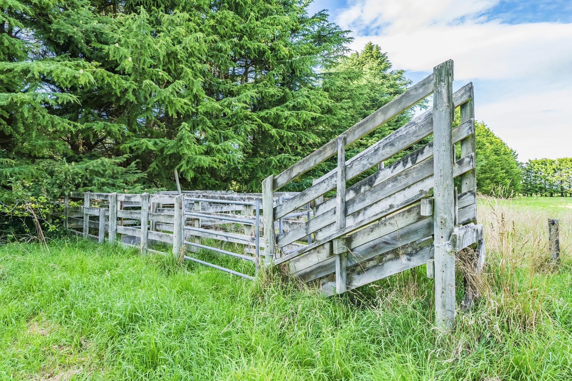 2131 Old West Coast Road, Kirwee