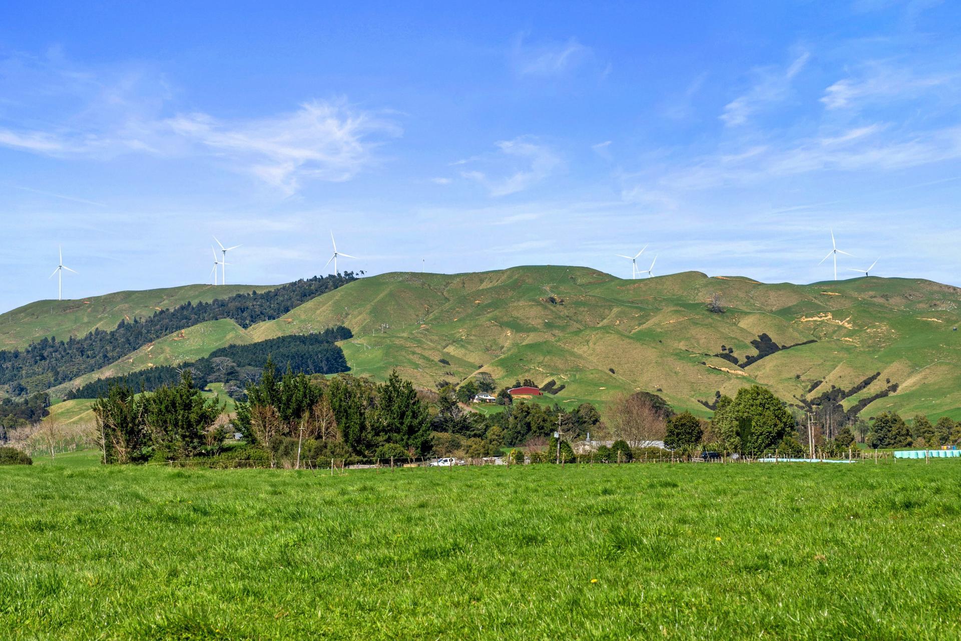 State Highway 23, Raglan