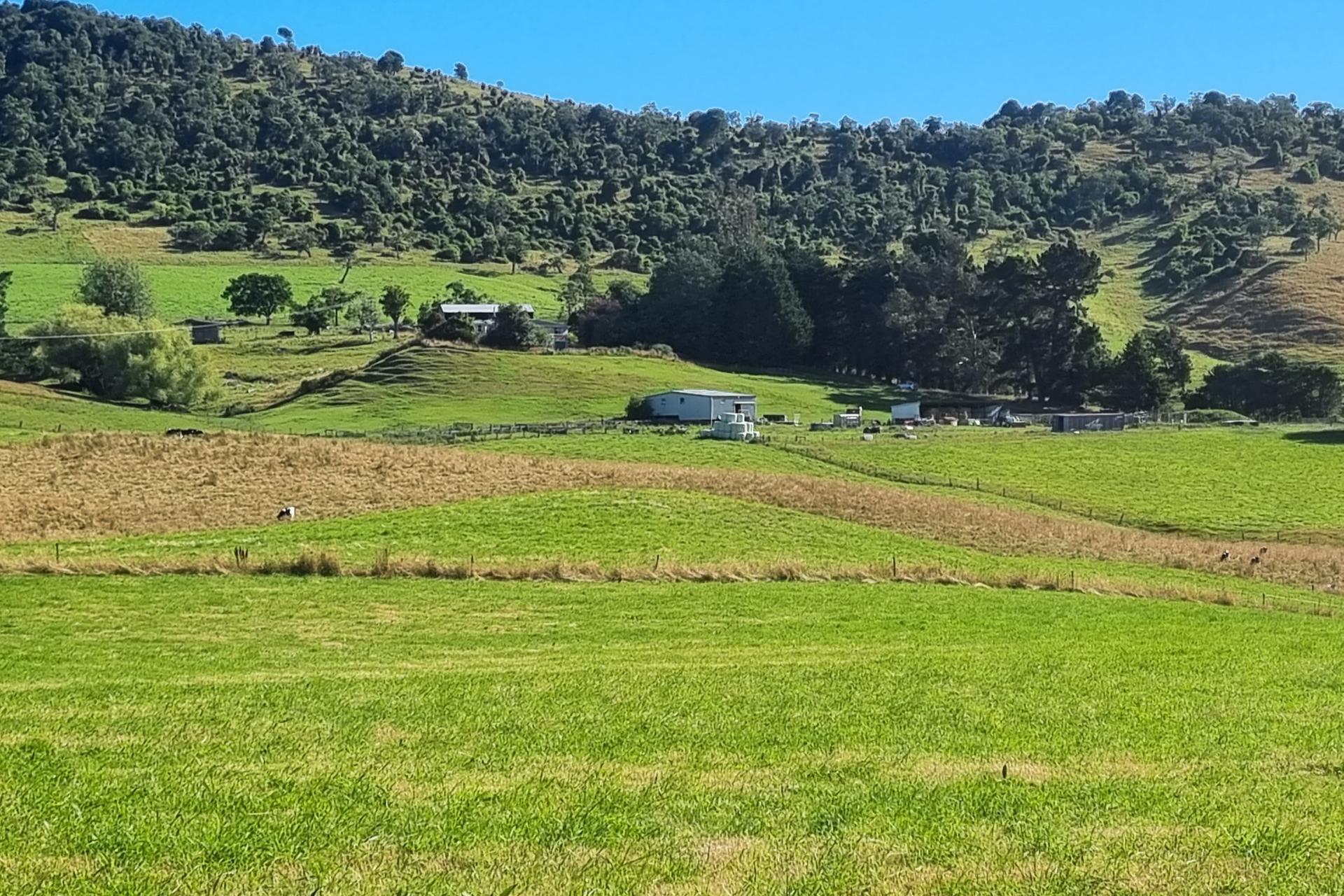 2000 Hillfoot Road, Warepa