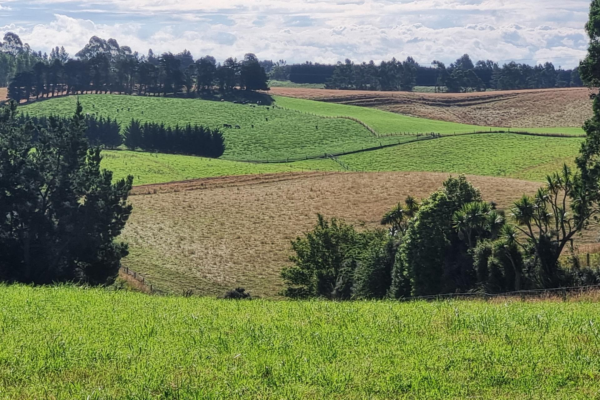 2000 Hillfoot Road, Warepa