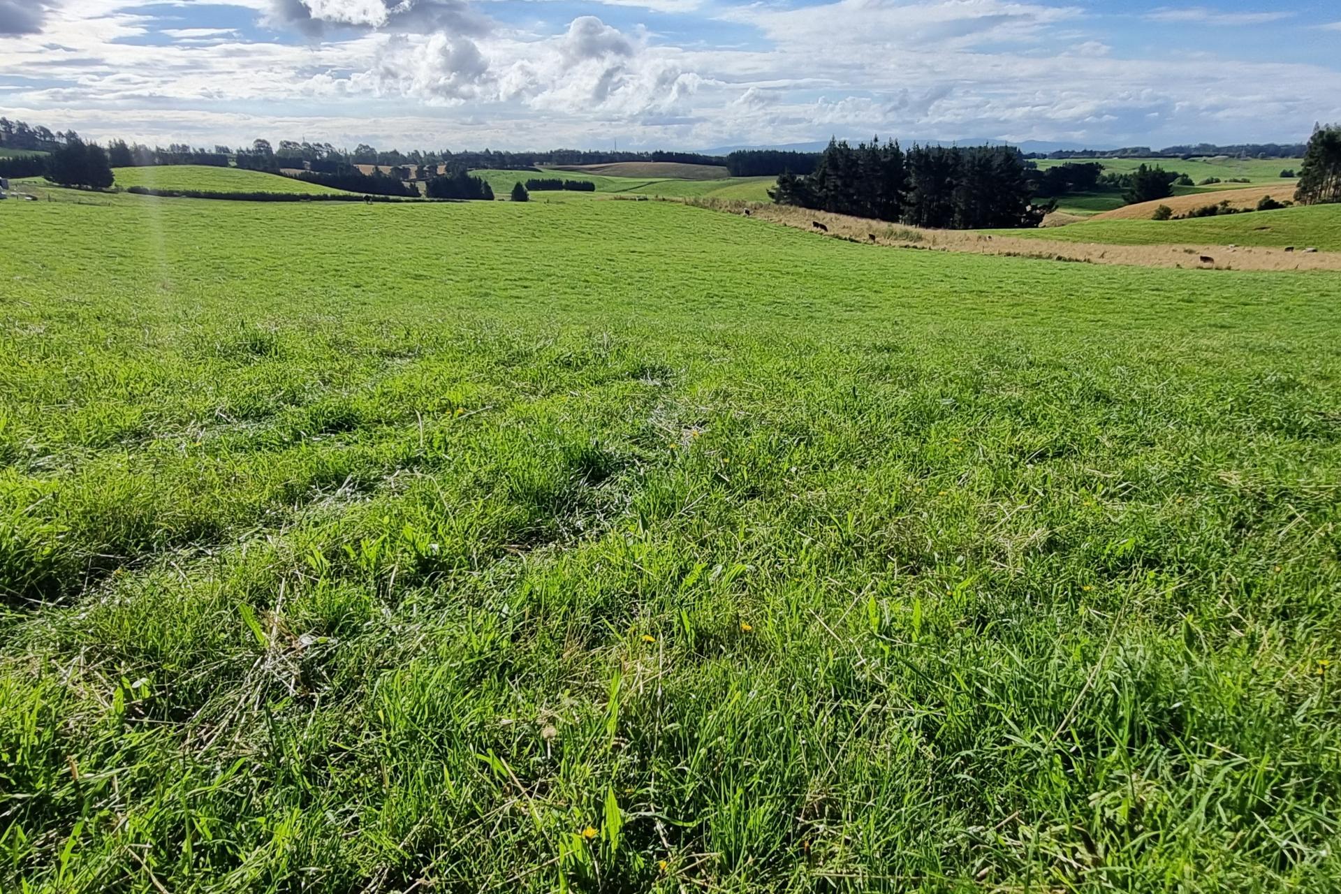 2000 Hillfoot Road, Warepa