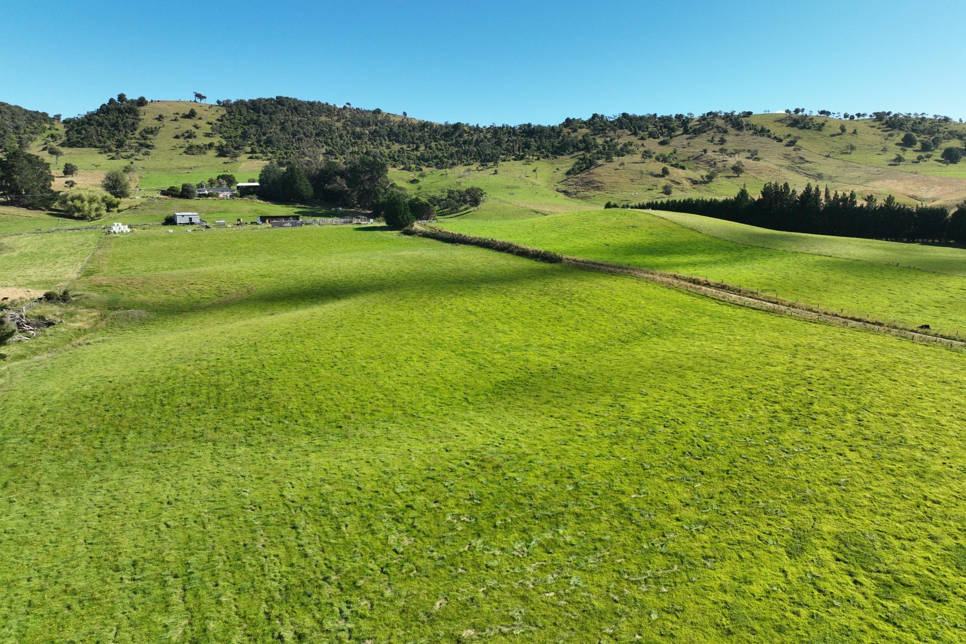 2000 Hillfoot Road, Warepa