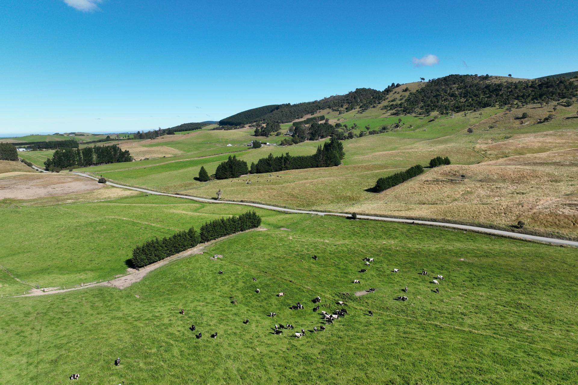 2000 Hillfoot Road, Warepa