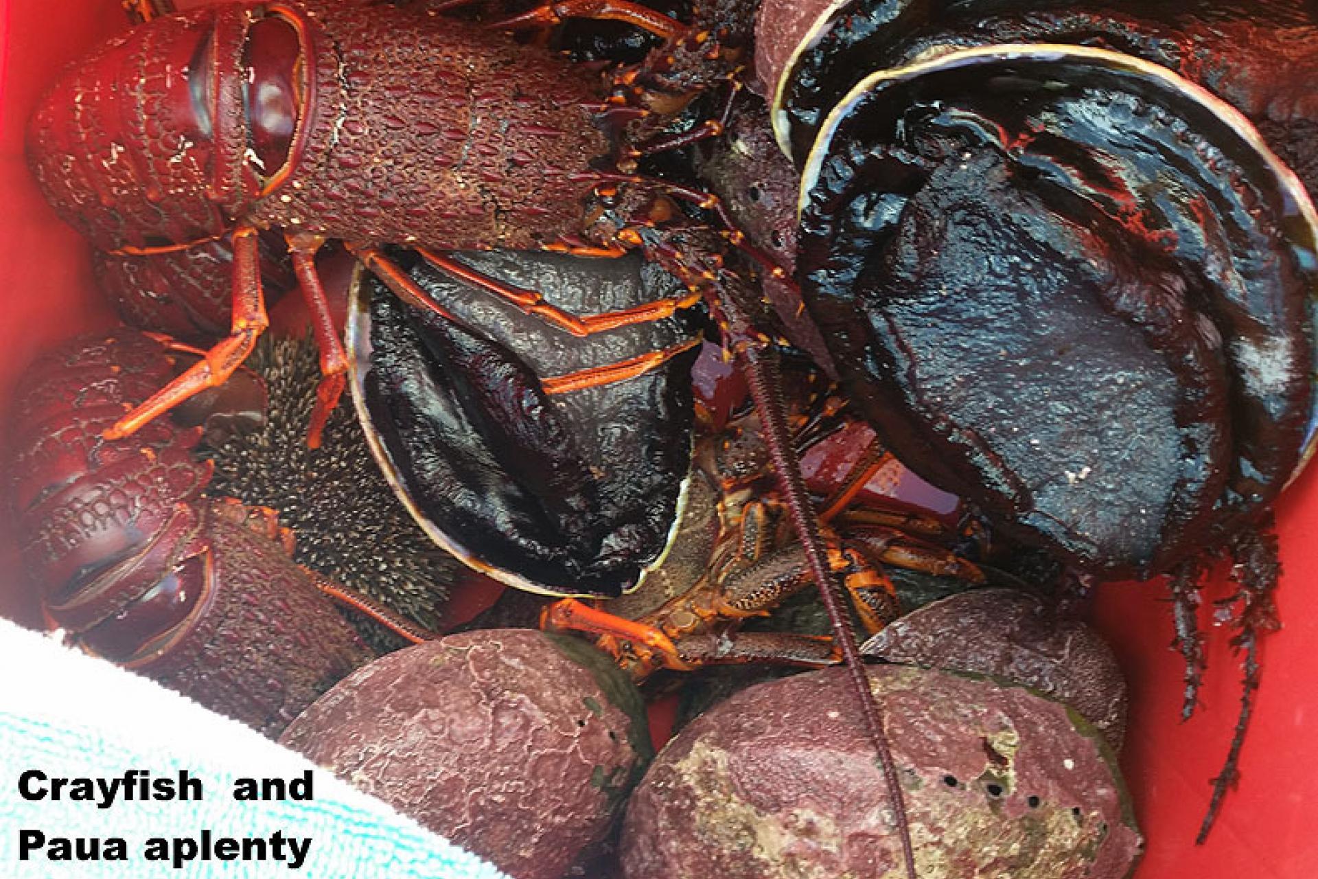 4A Te Miha Crescent, Cape Palliser