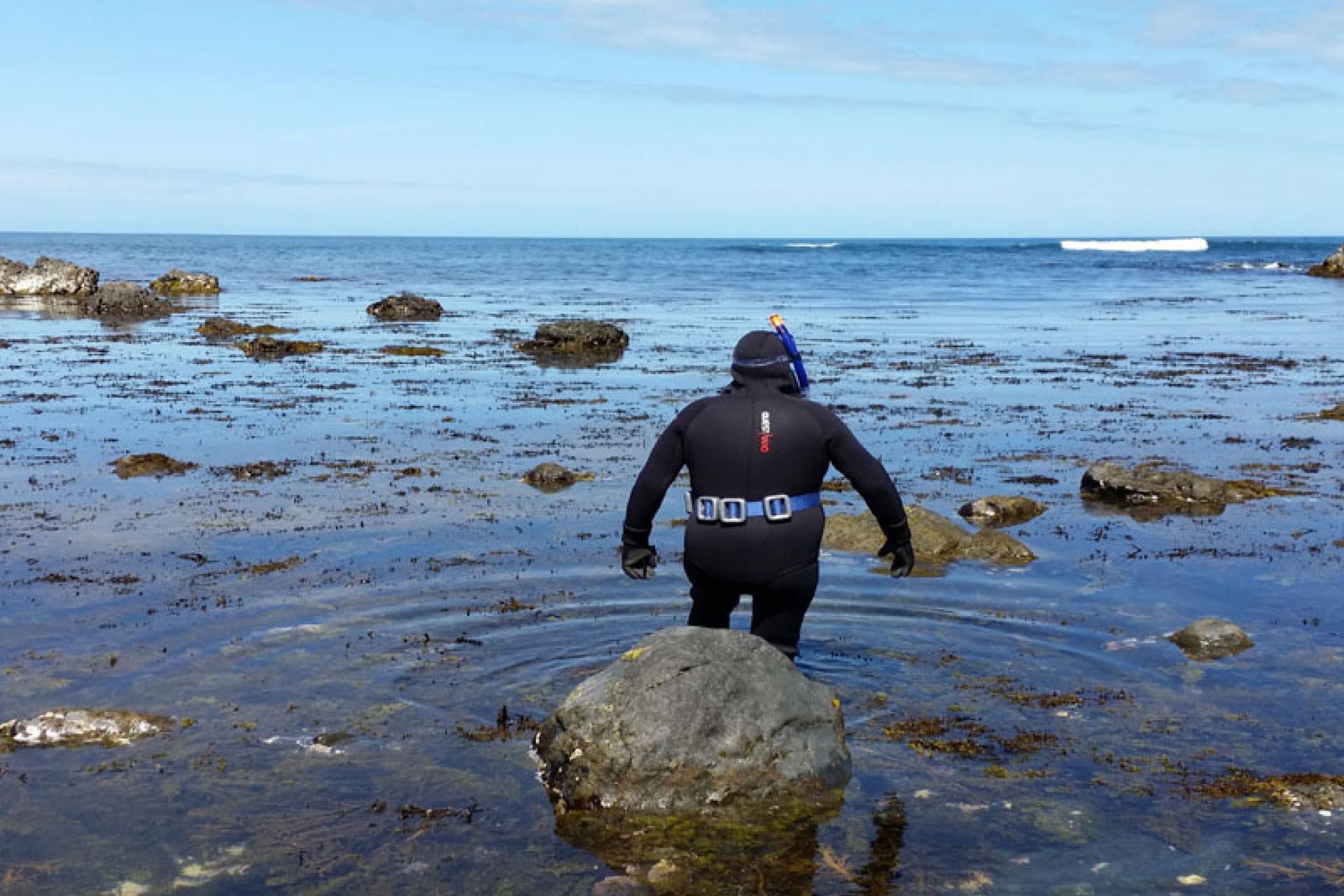4A Te Miha Crescent, Cape Palliser