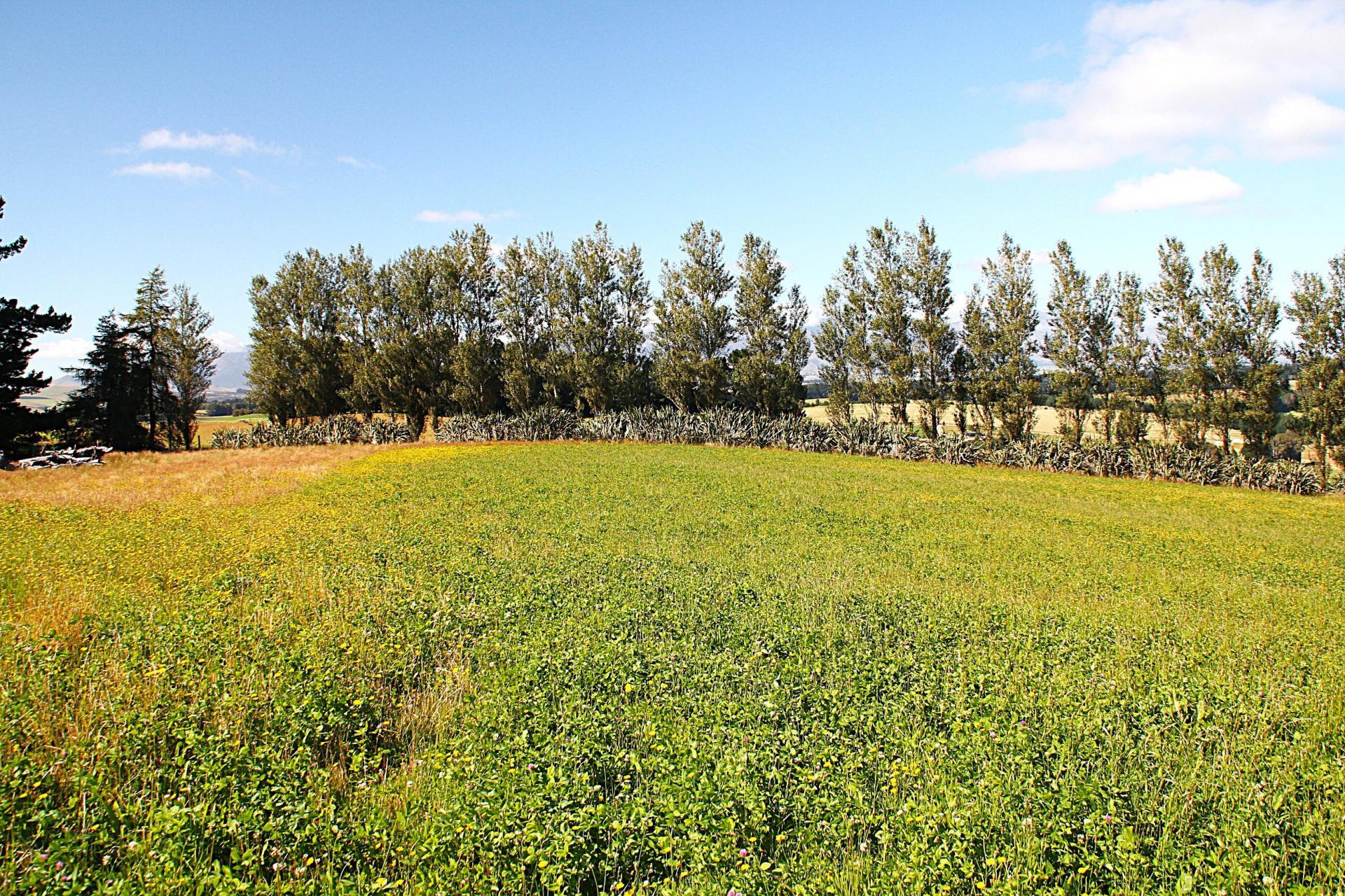 138 Ridgedale Road, Te Anau