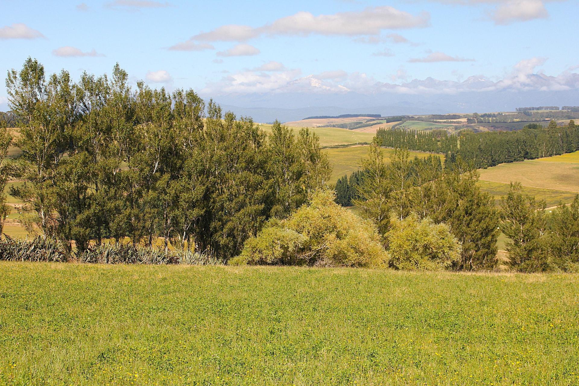 138 Ridgedale Road, Te Anau