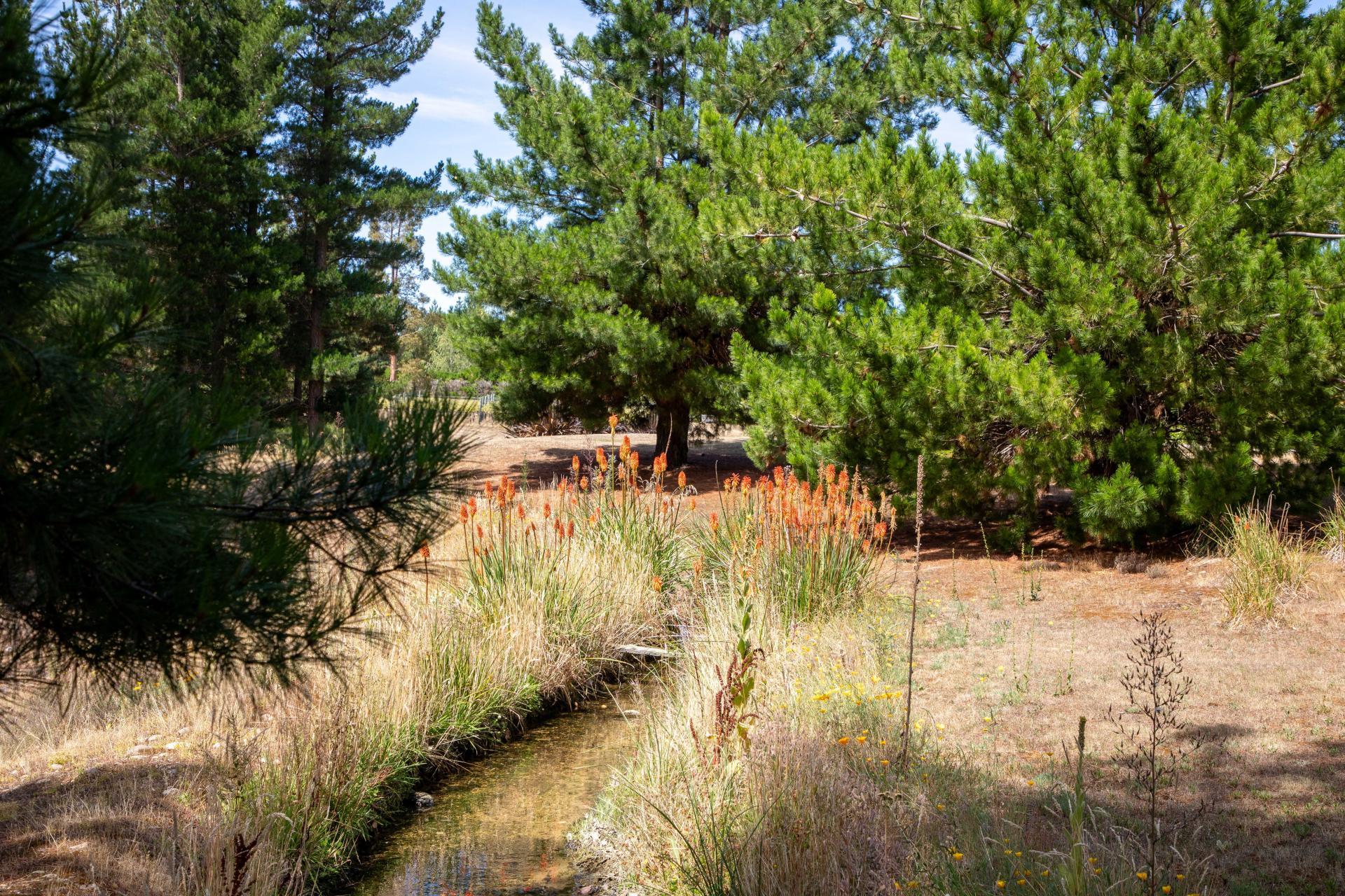 120 Hillview Road, Alexandra