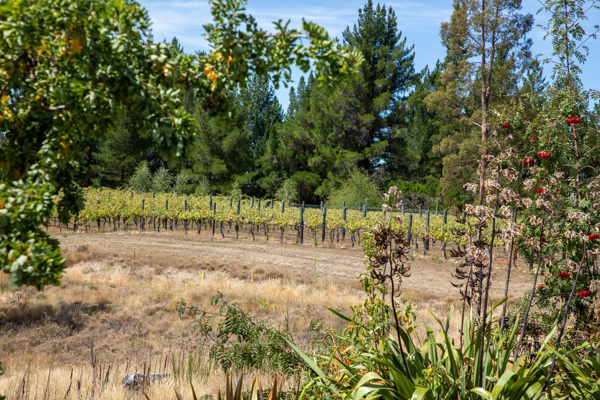 120 Hillview Road, Alexandra