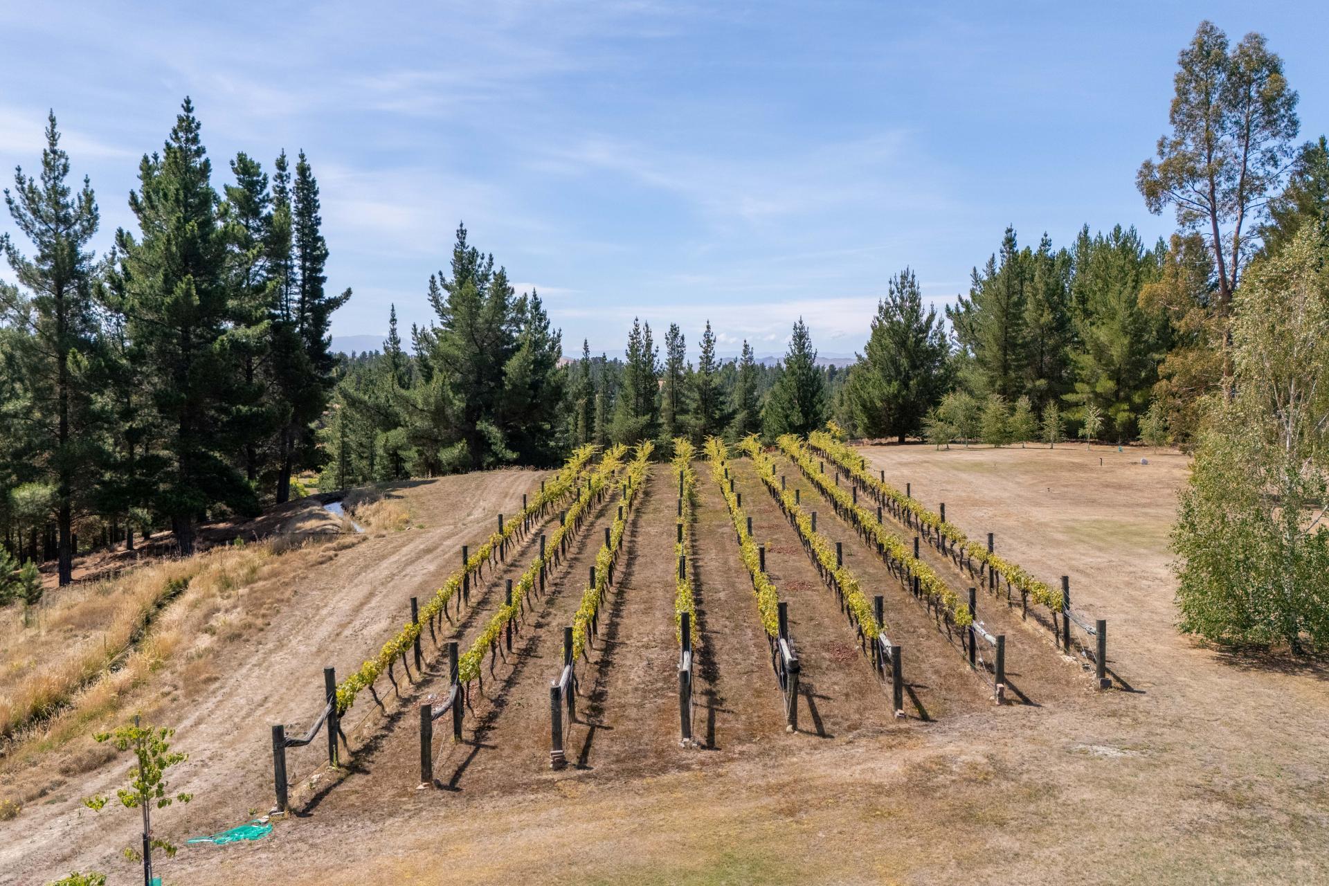 120 Hillview Road, Alexandra