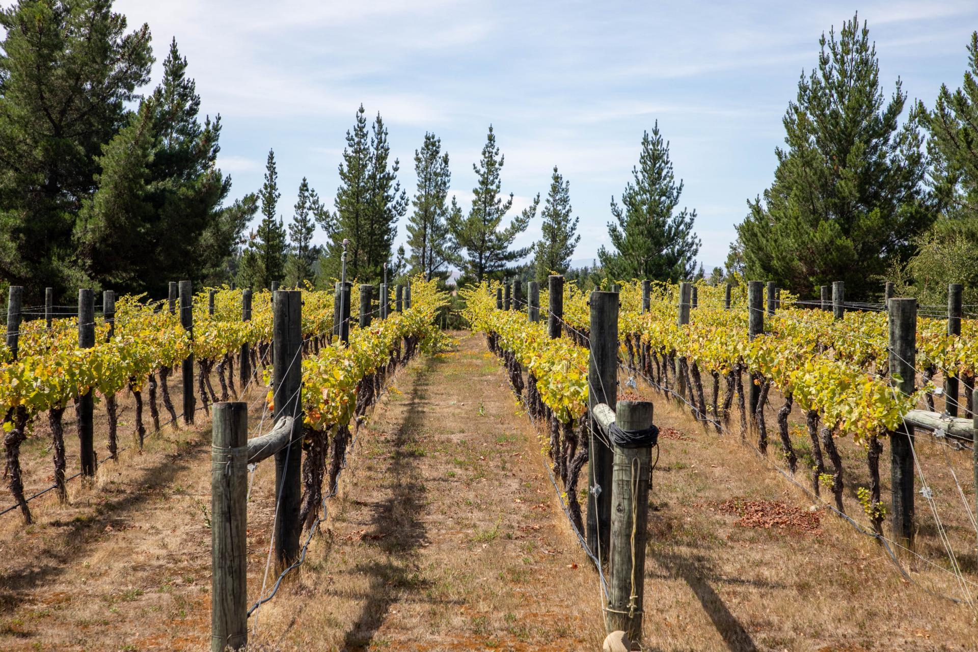 120 Hillview Road, Alexandra