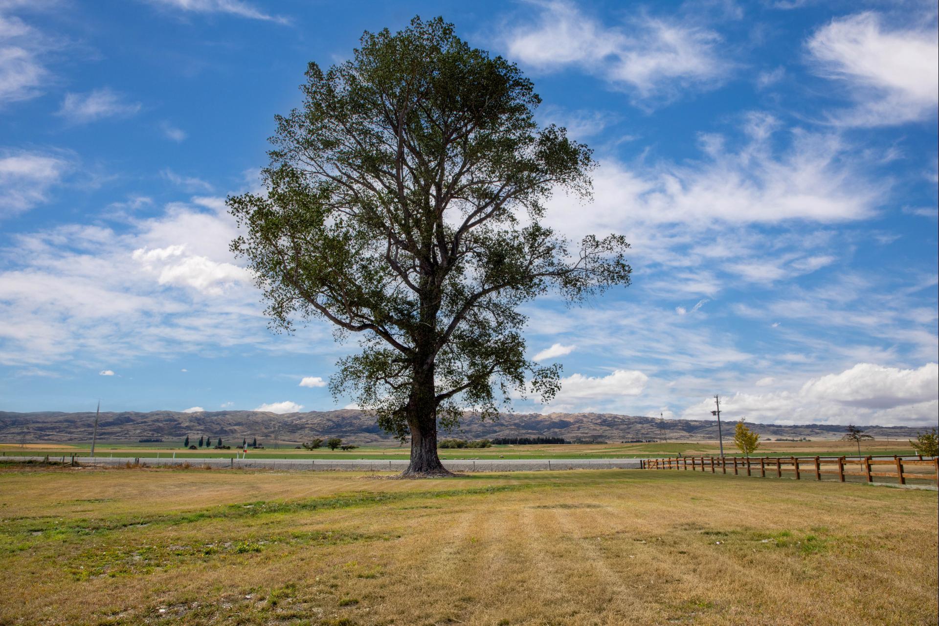 1131 Ida Valley - Omakau Road, Poolburn
