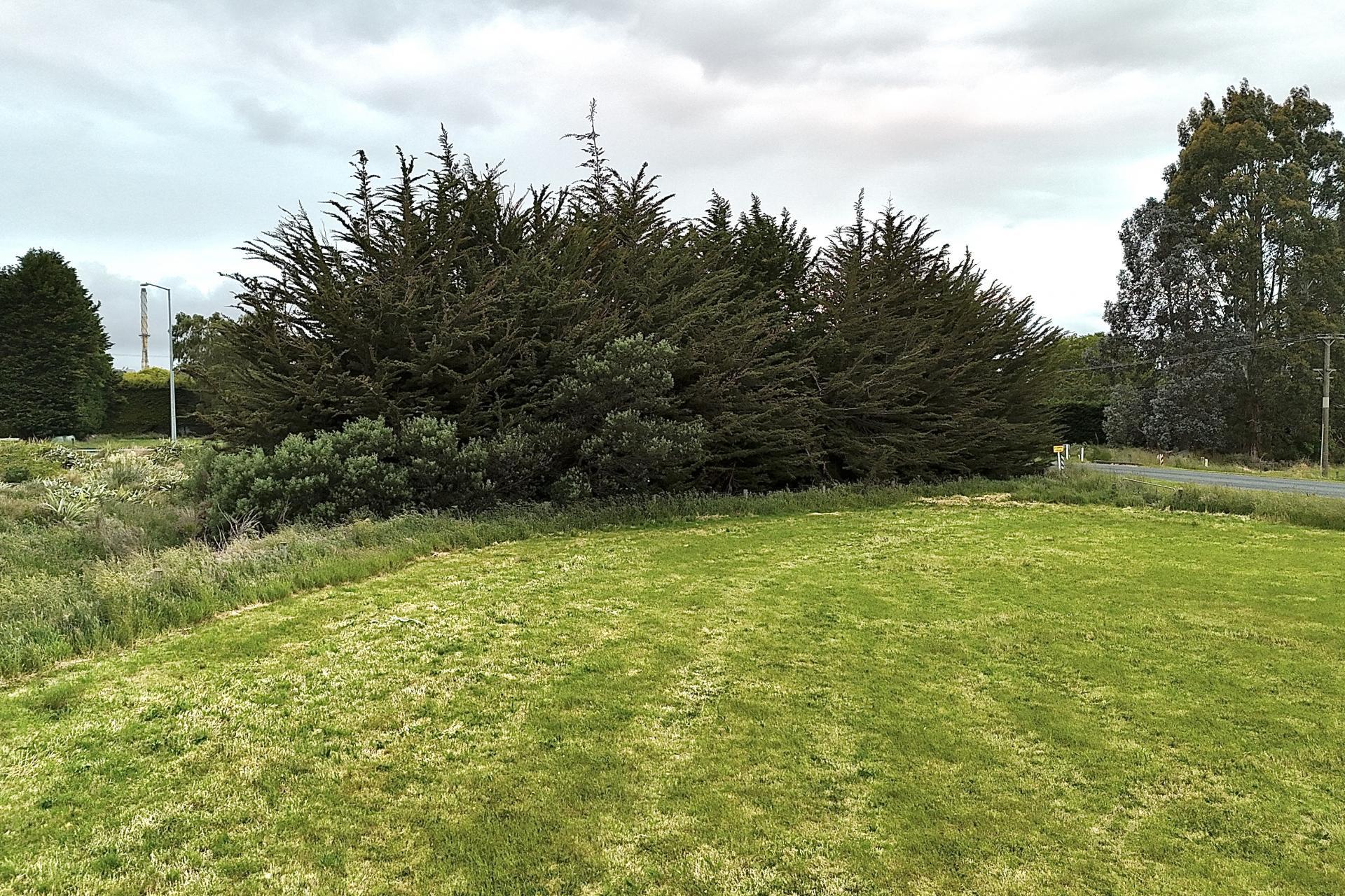 10 Rose Lane, Edendale