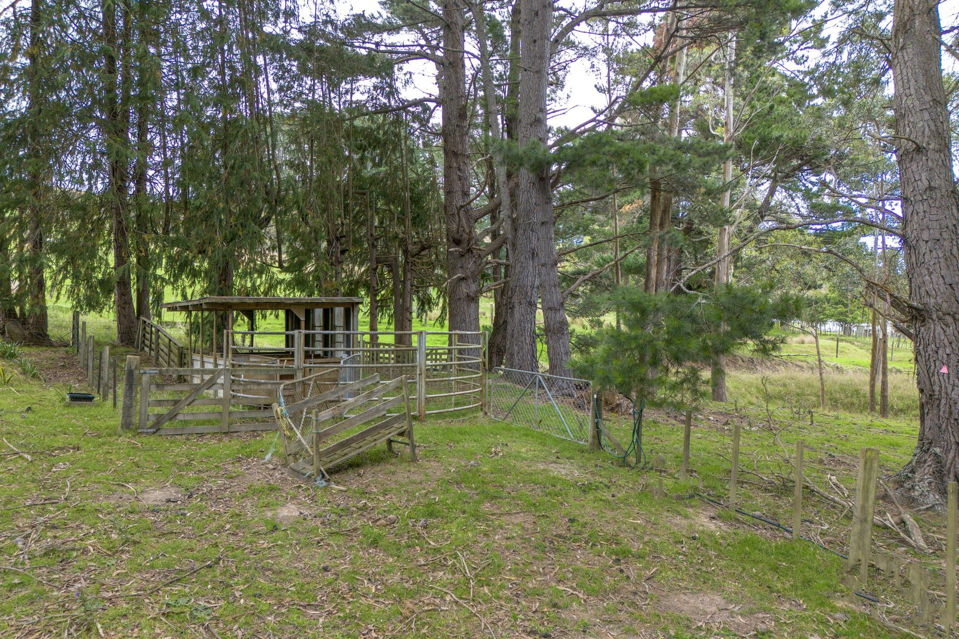 1344 Ngapaeruru Road, Dannevirke