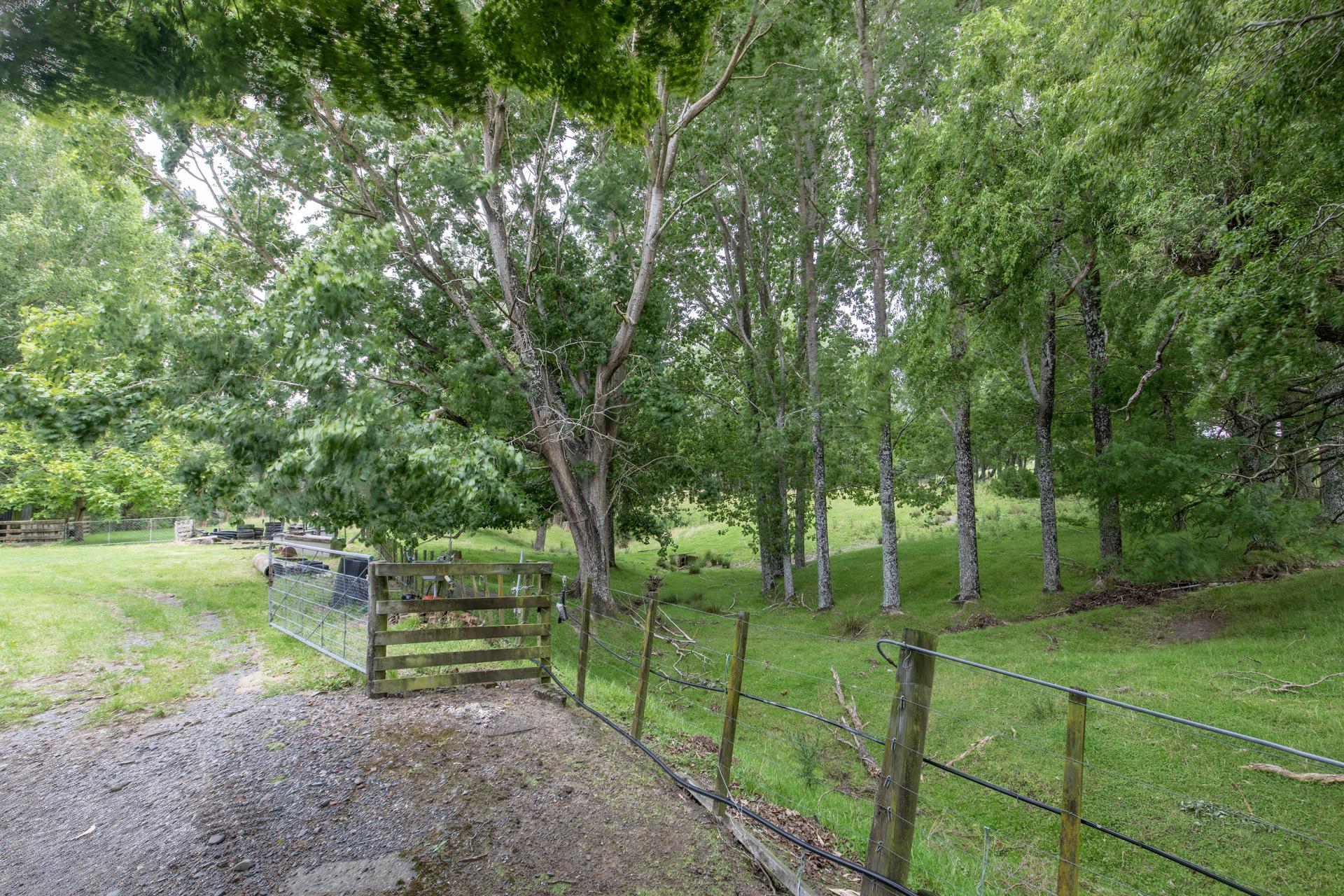 1344 Ngapaeruru Road, Dannevirke