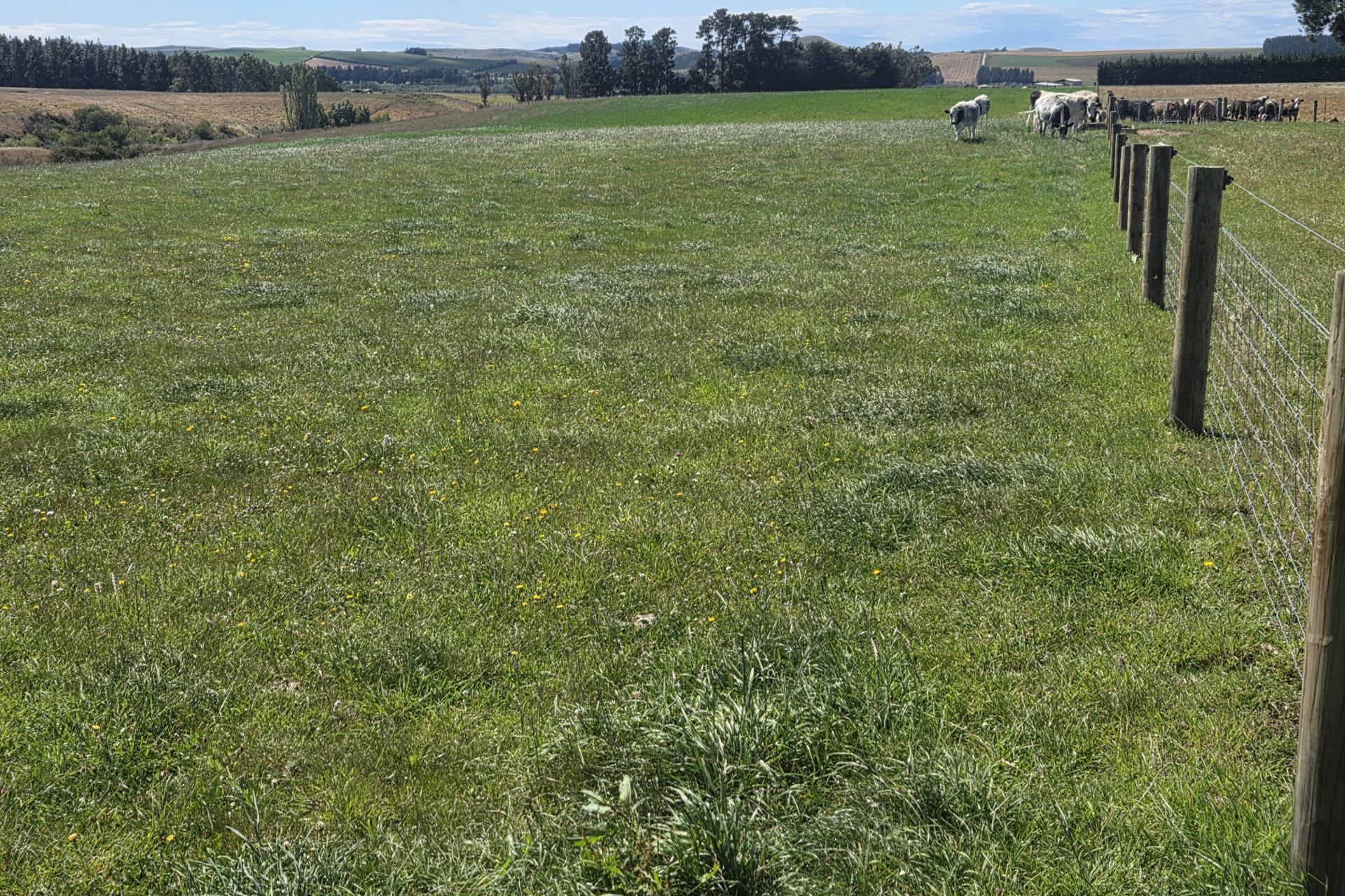Incholme School Road, Incholme