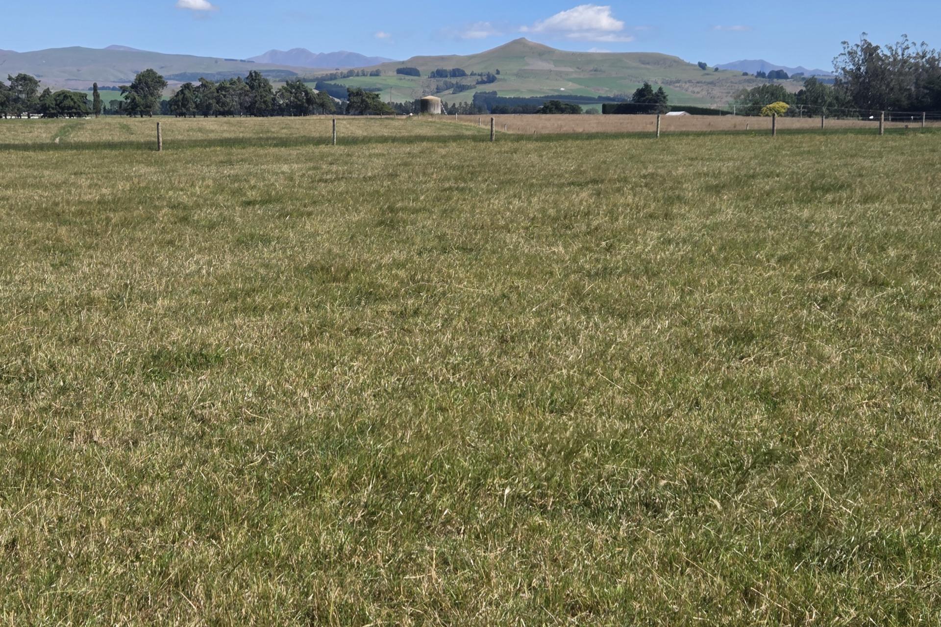 Incholme School Road, Incholme