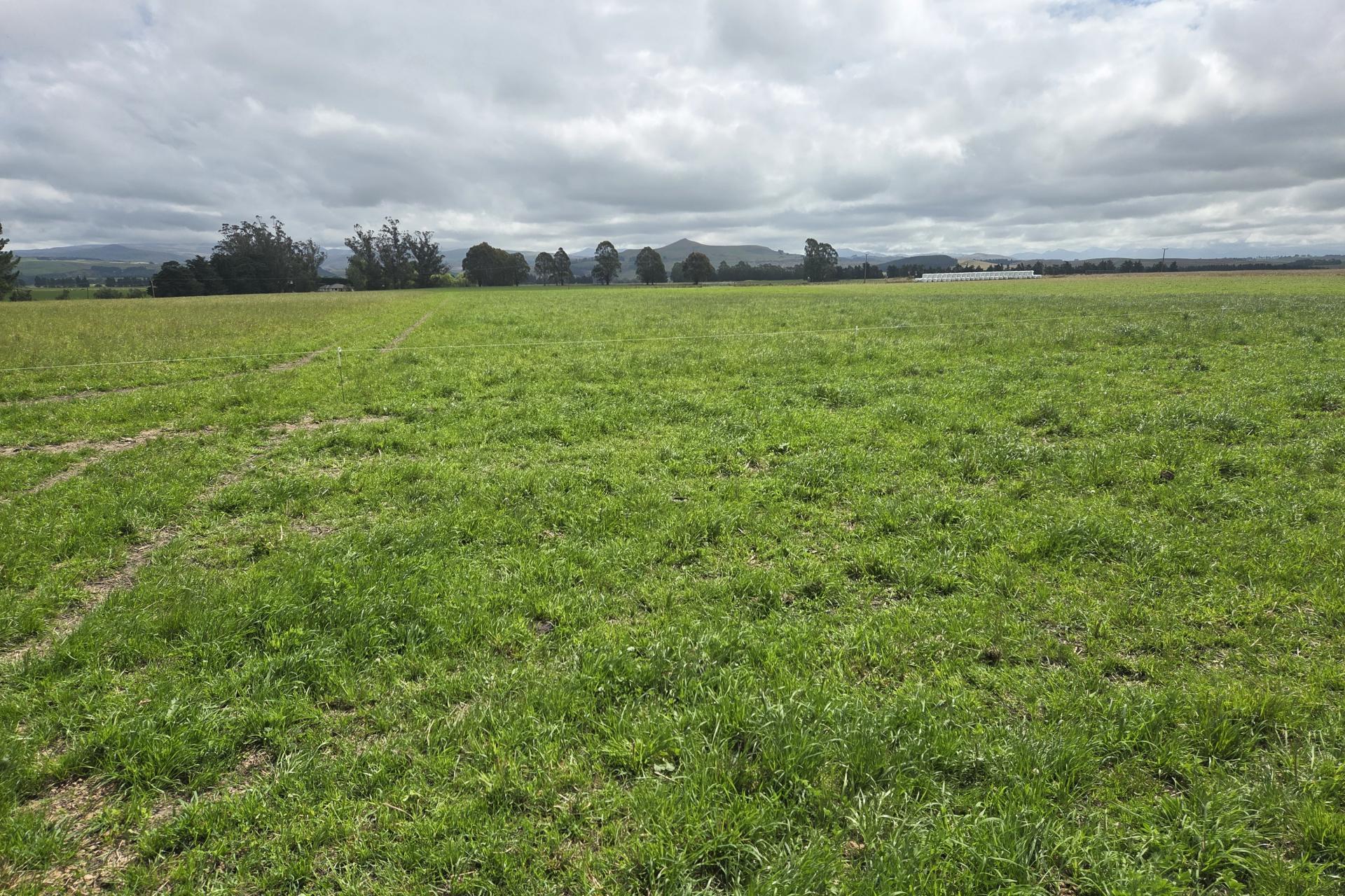 Incholme School Road, Incholme