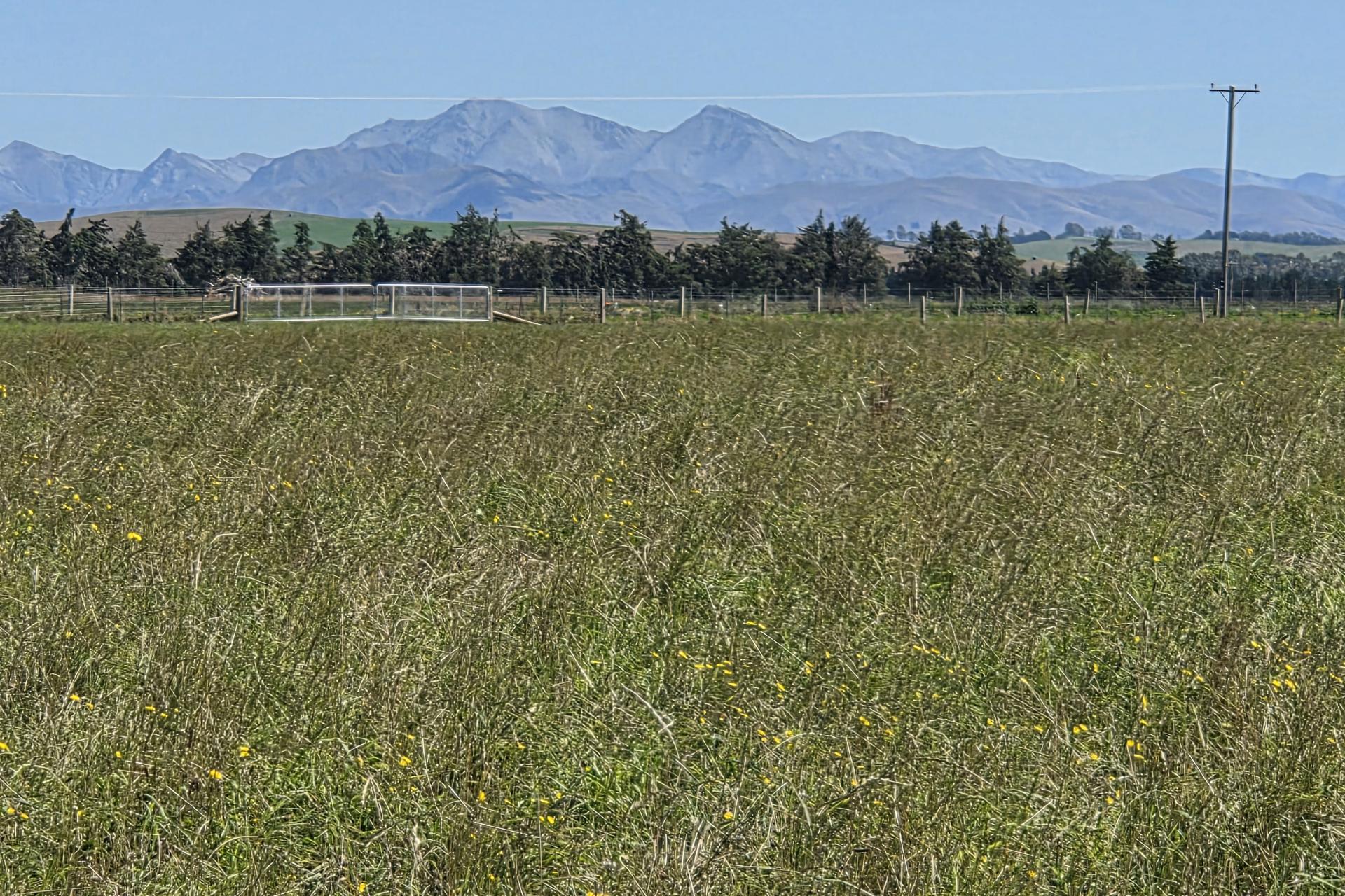 Incholme School Road, Incholme