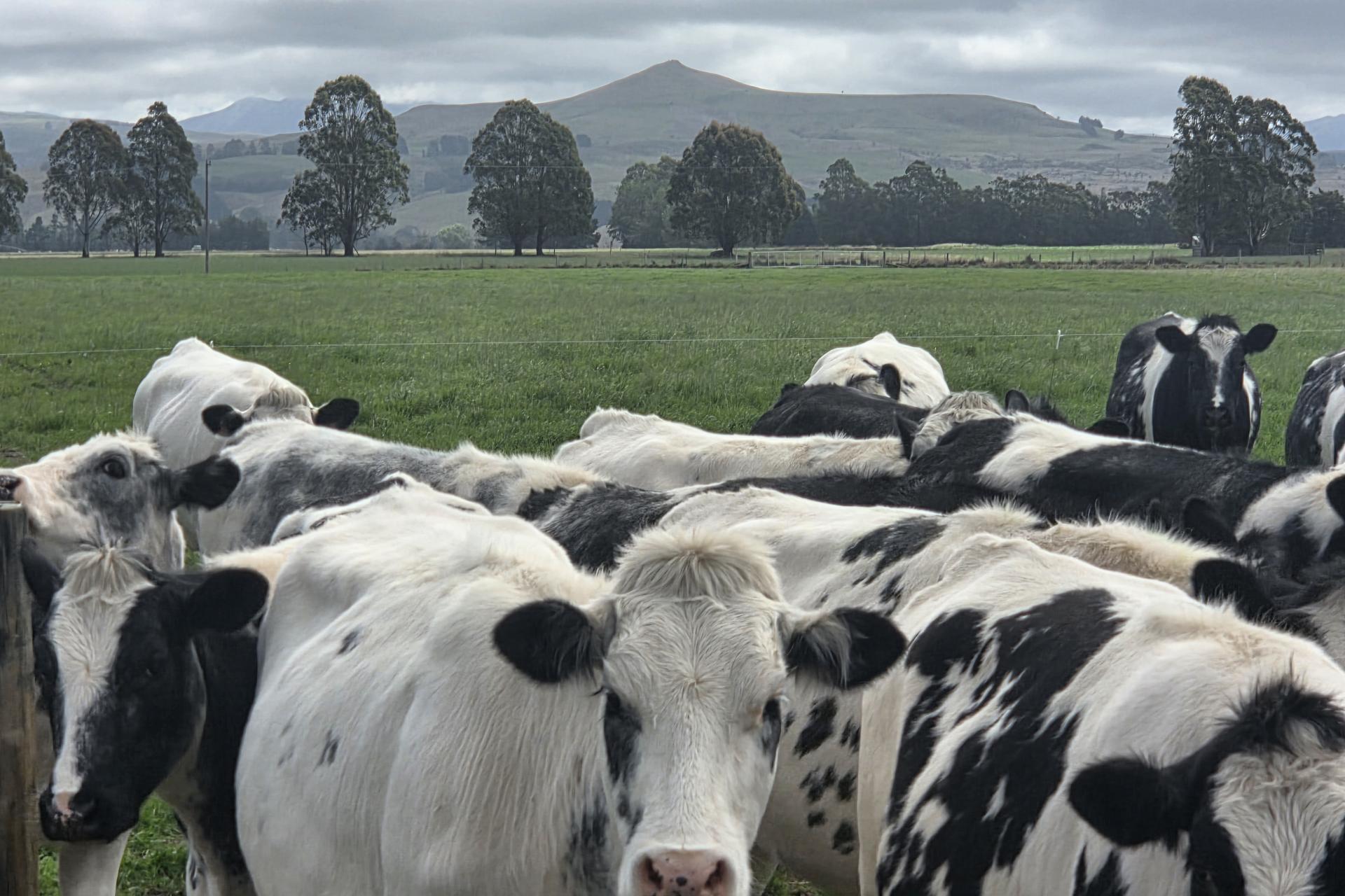 Incholme School Road, Incholme