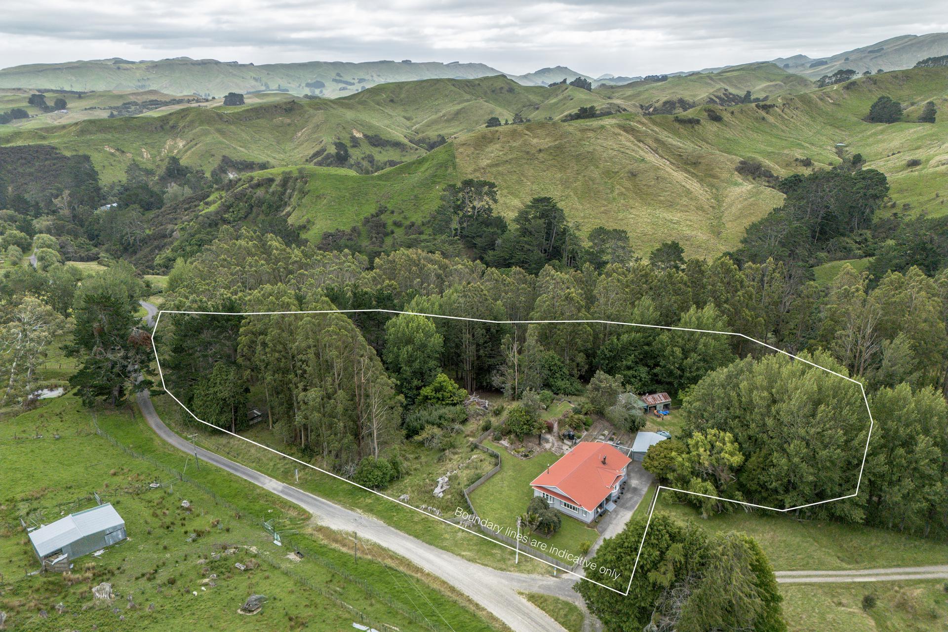 1344 Ngapaeruru Road, Dannevirke