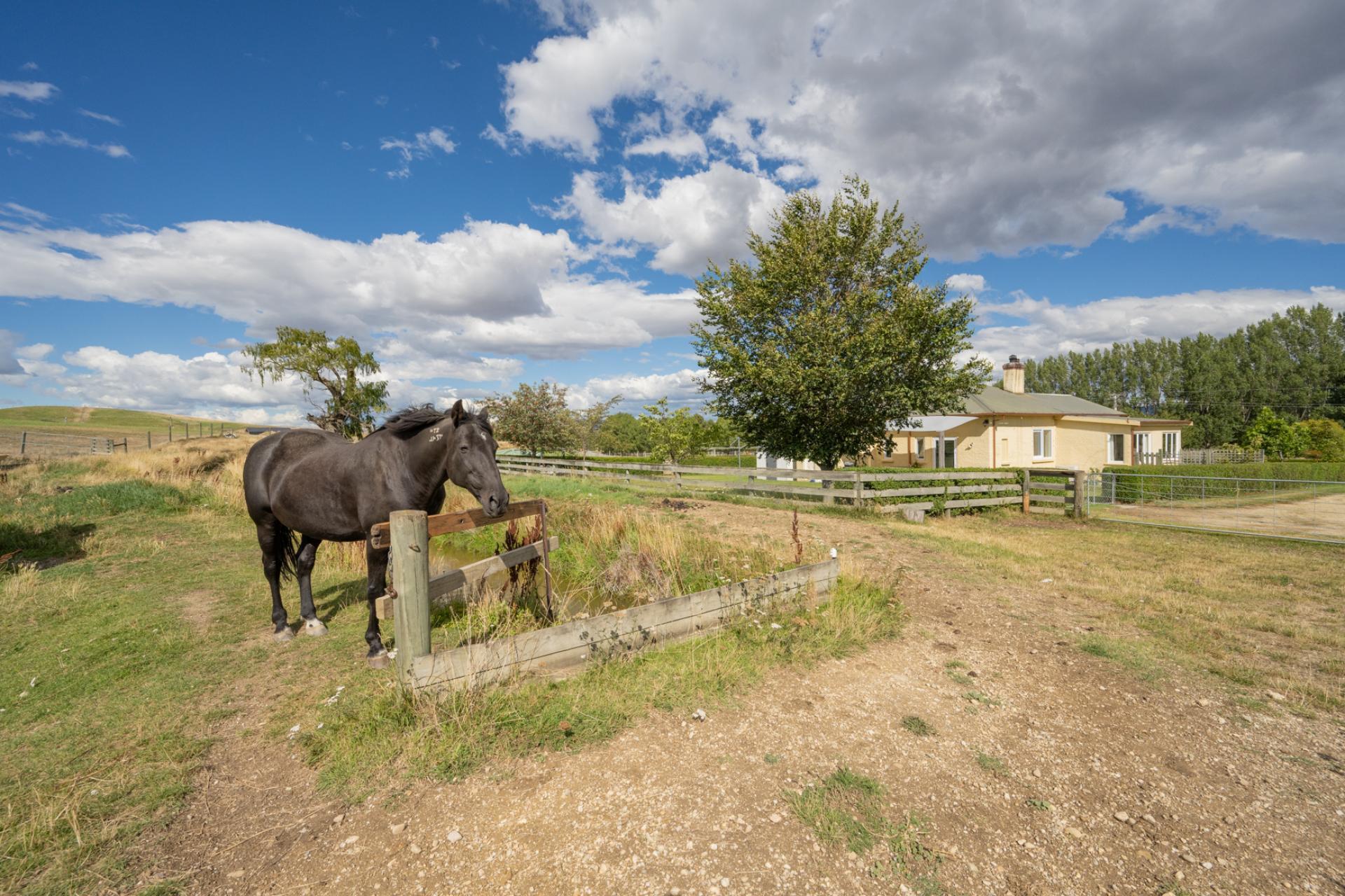 677 Springvale Road, Alexandra