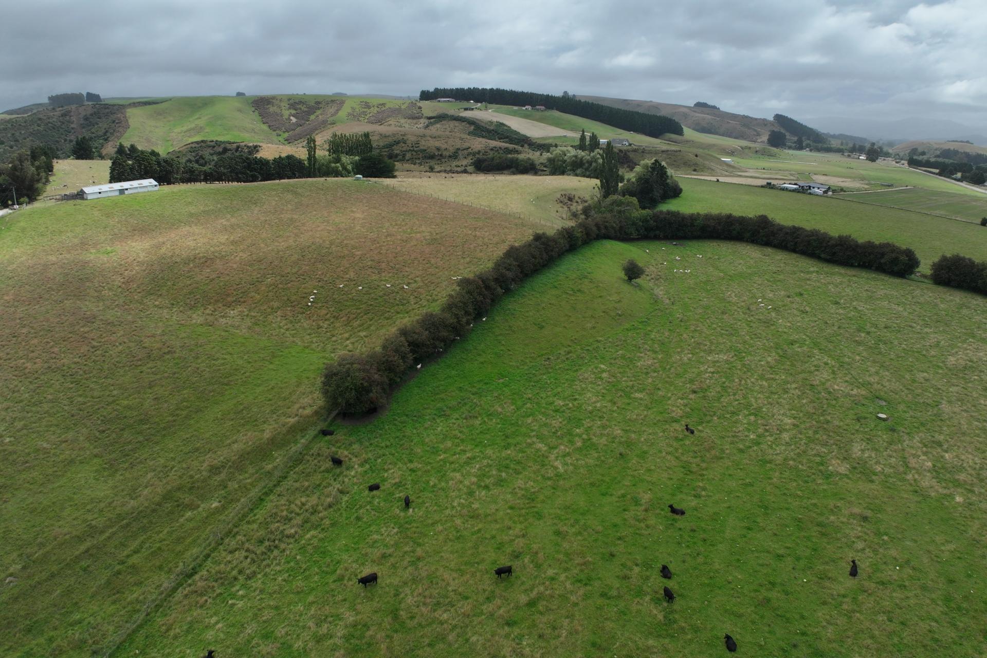 58 McElwee Road, Meadowbanki, Palmerston