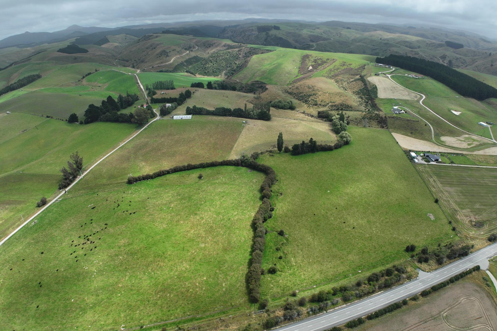 58 McElwee Road, Meadowbanki, Palmerston