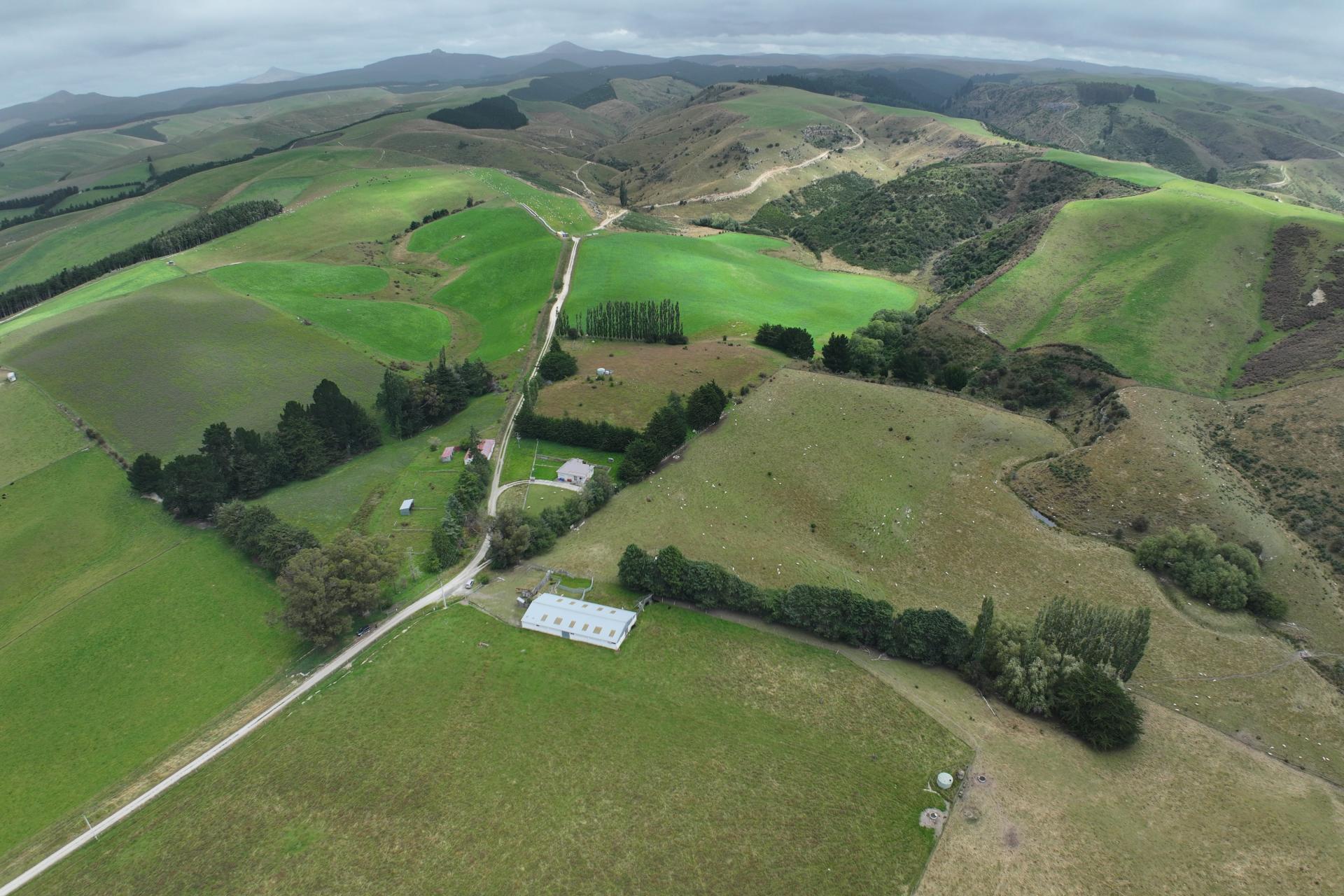 58 McElwee Road, Meadowbanki, Palmerston