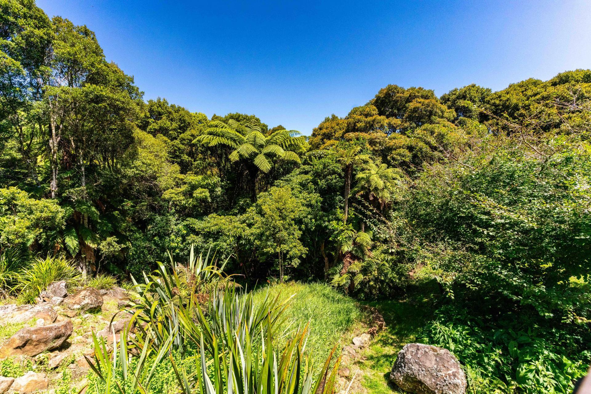 1052 Wekaweka Road, Waimamaku