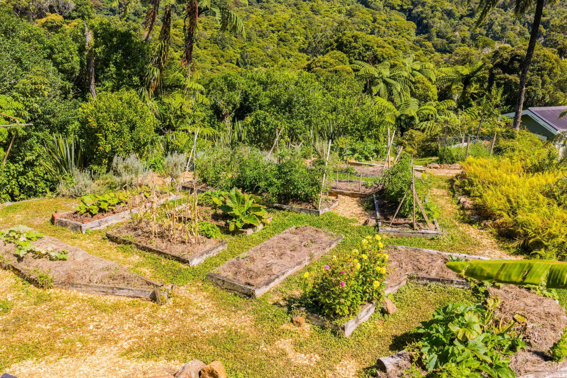 1052 Wekaweka Road, Waimamaku