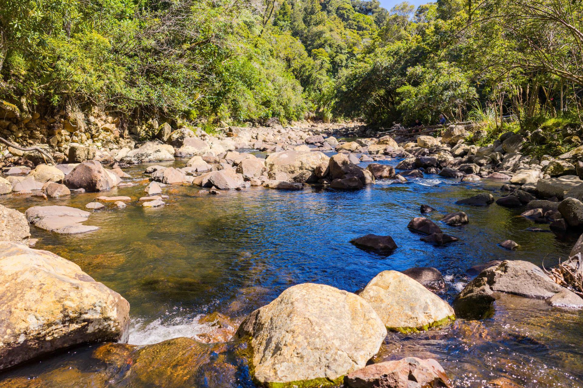 1052 Wekaweka Road, Waimamaku