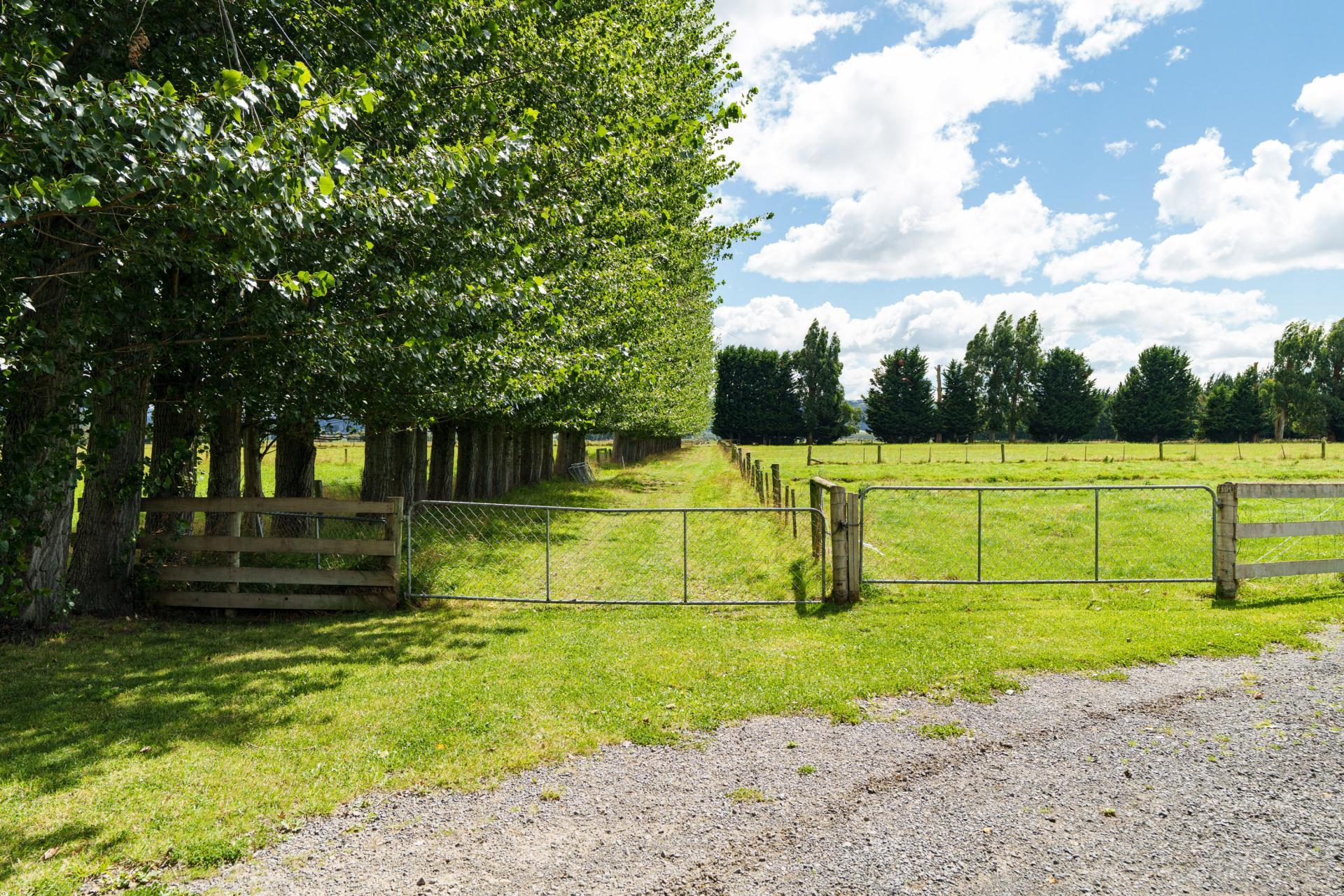 320 Gladstone Road South, East Taieri