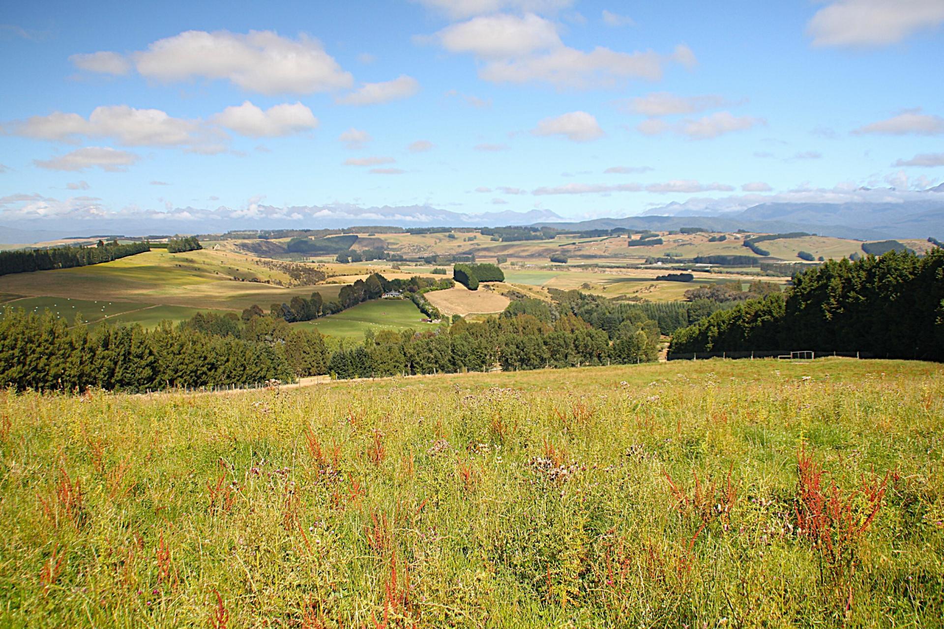 112 Ridgedale Road, Te Anau