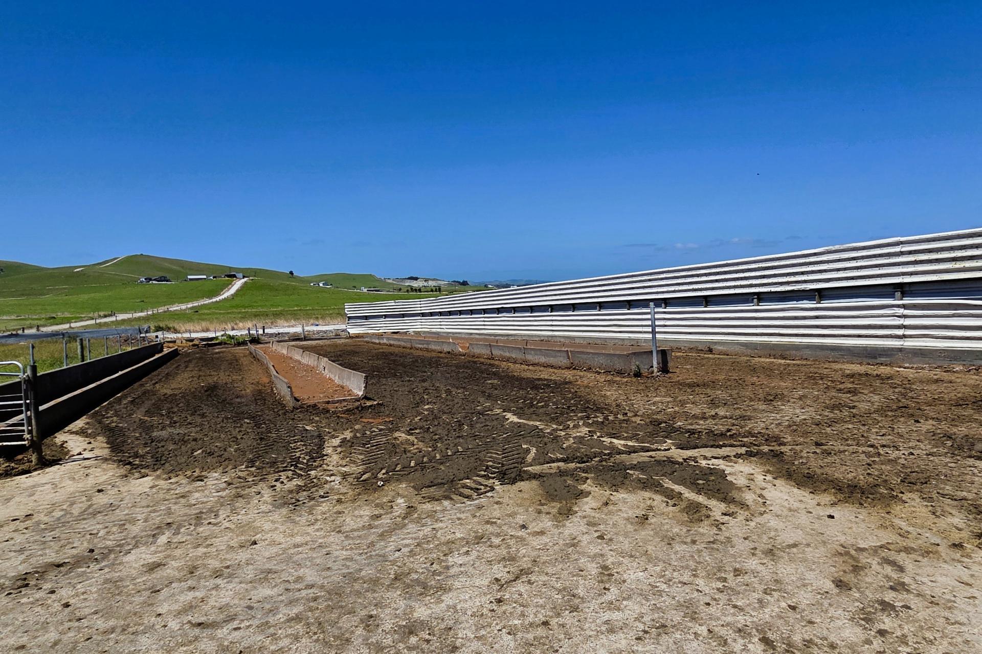 77 Molloy Road, Ruawai