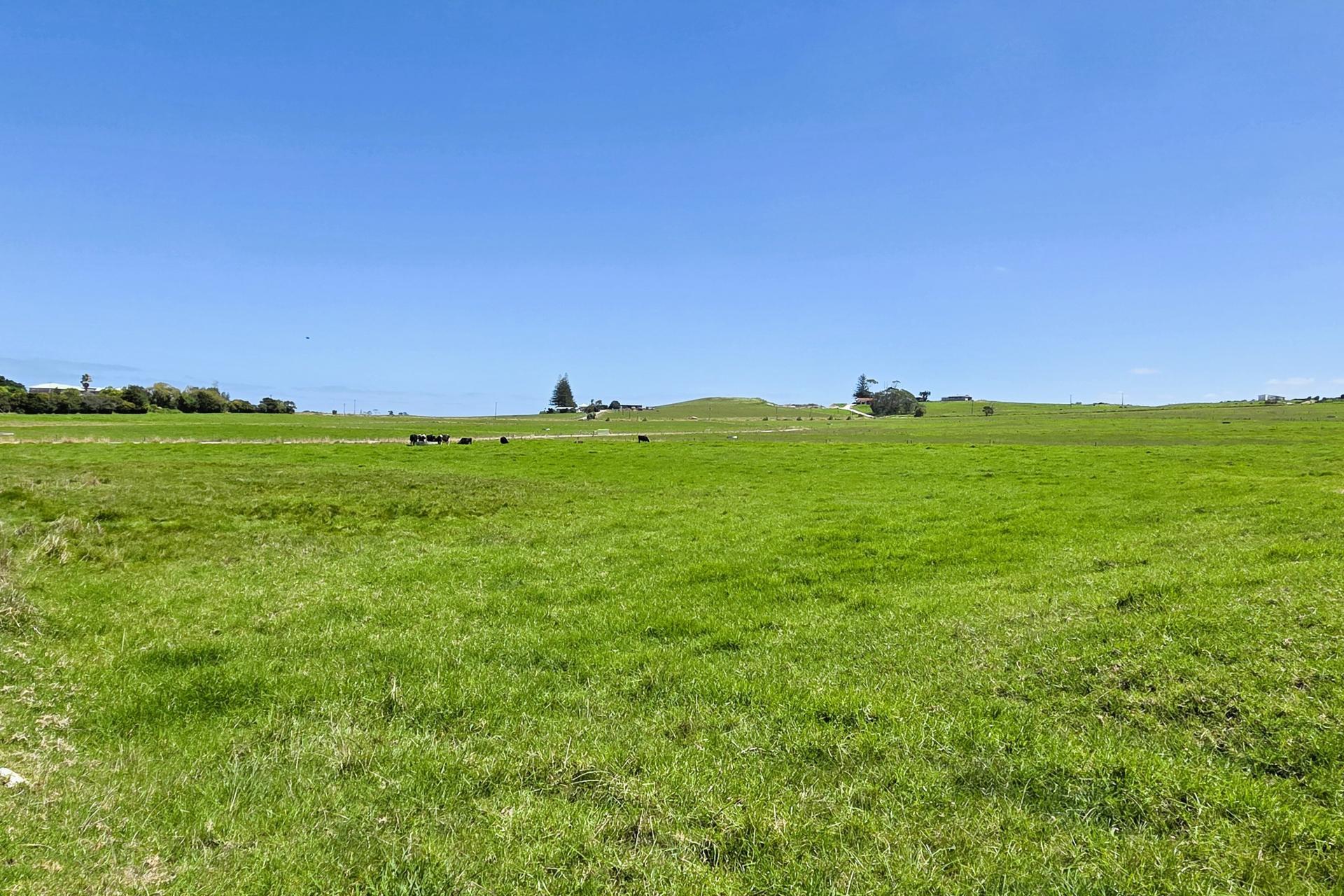 77 Molloy Road, Ruawai