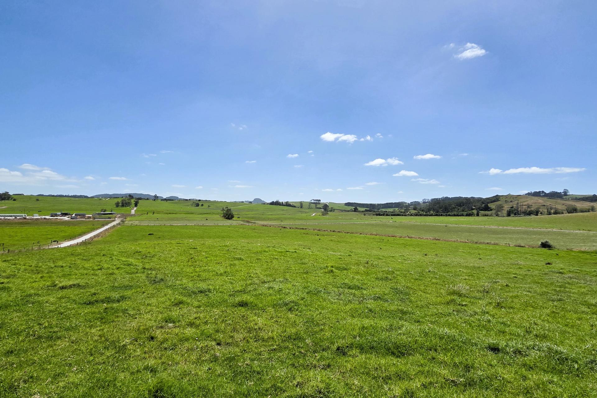 77 Molloy Road, Ruawai