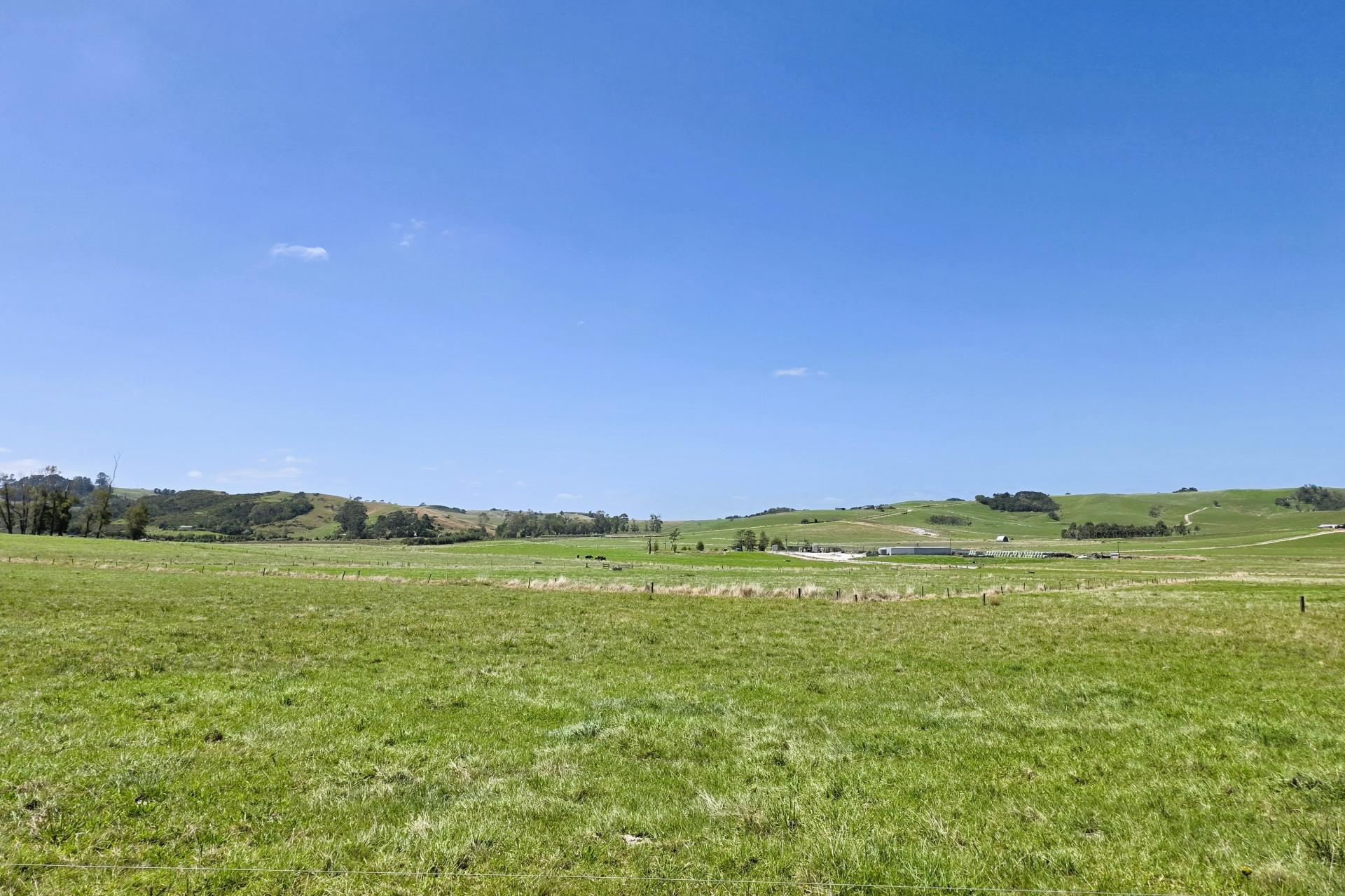 77 Molloy Road, Ruawai