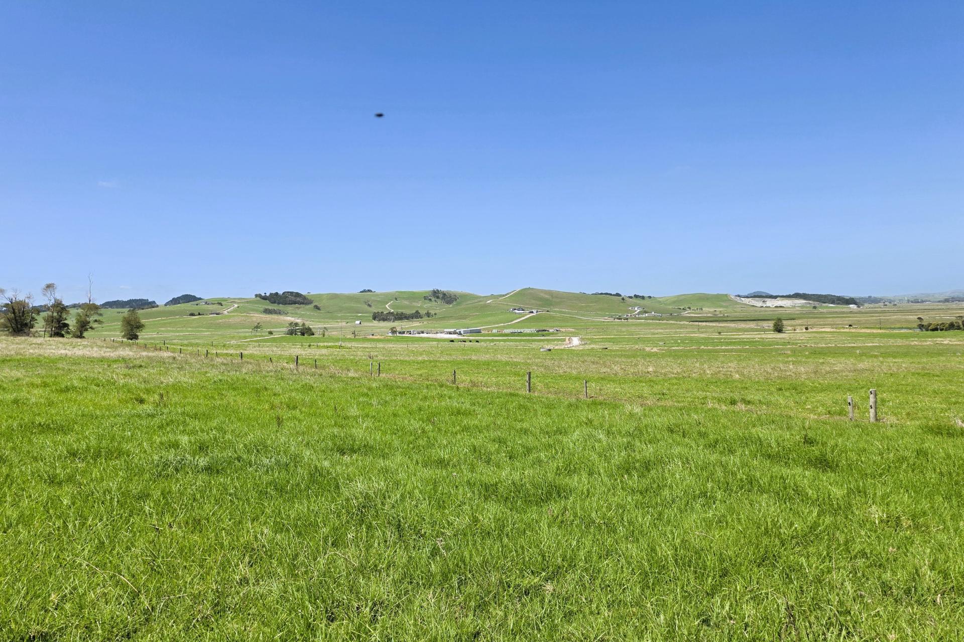 77 Molloy Road, Ruawai