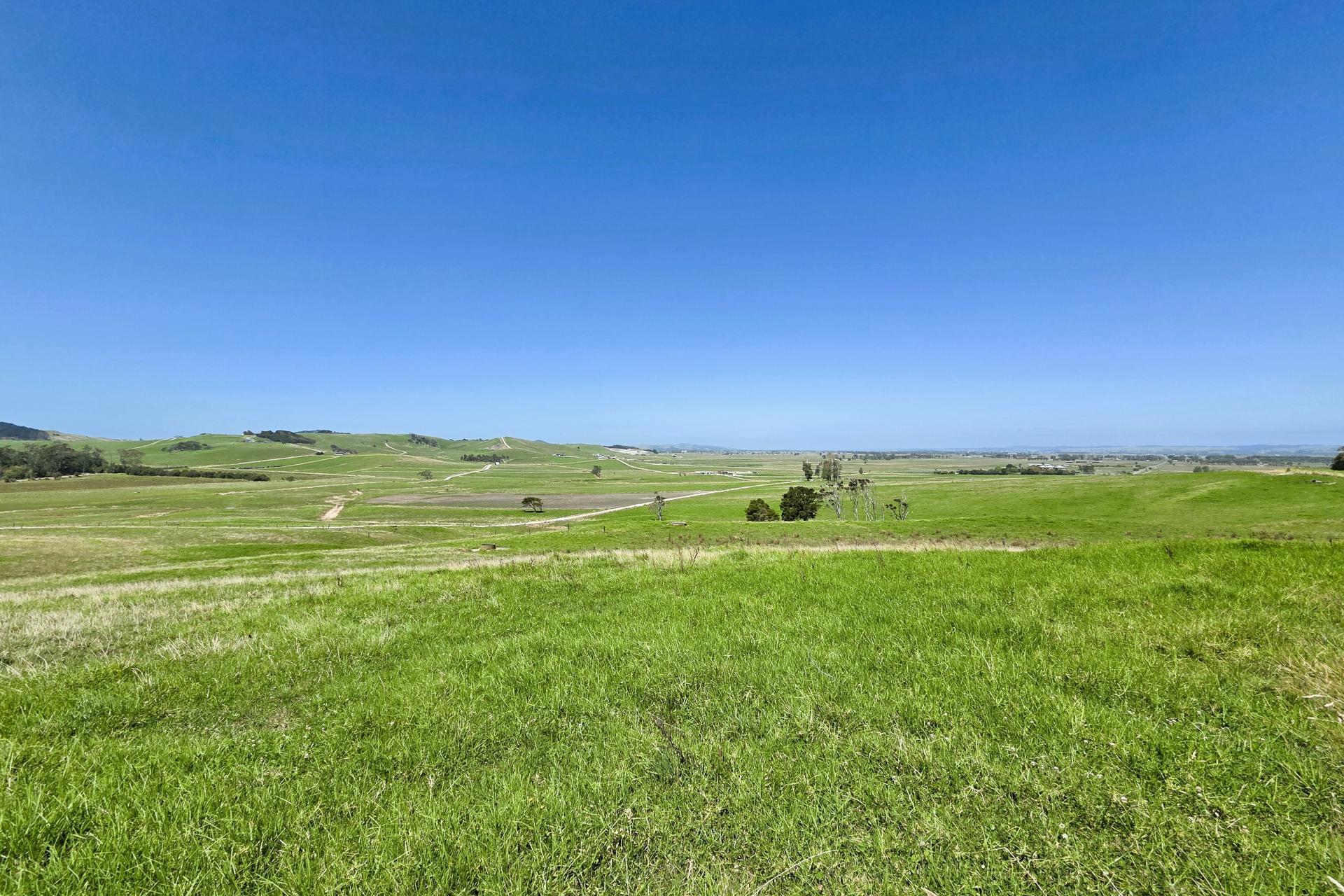 77 Molloy Road, Ruawai