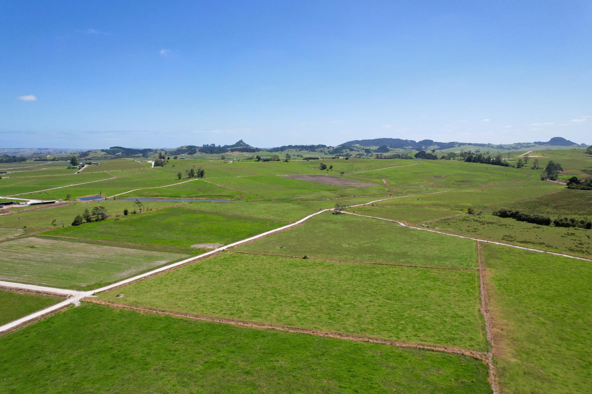 77 Molloy Road, Ruawai